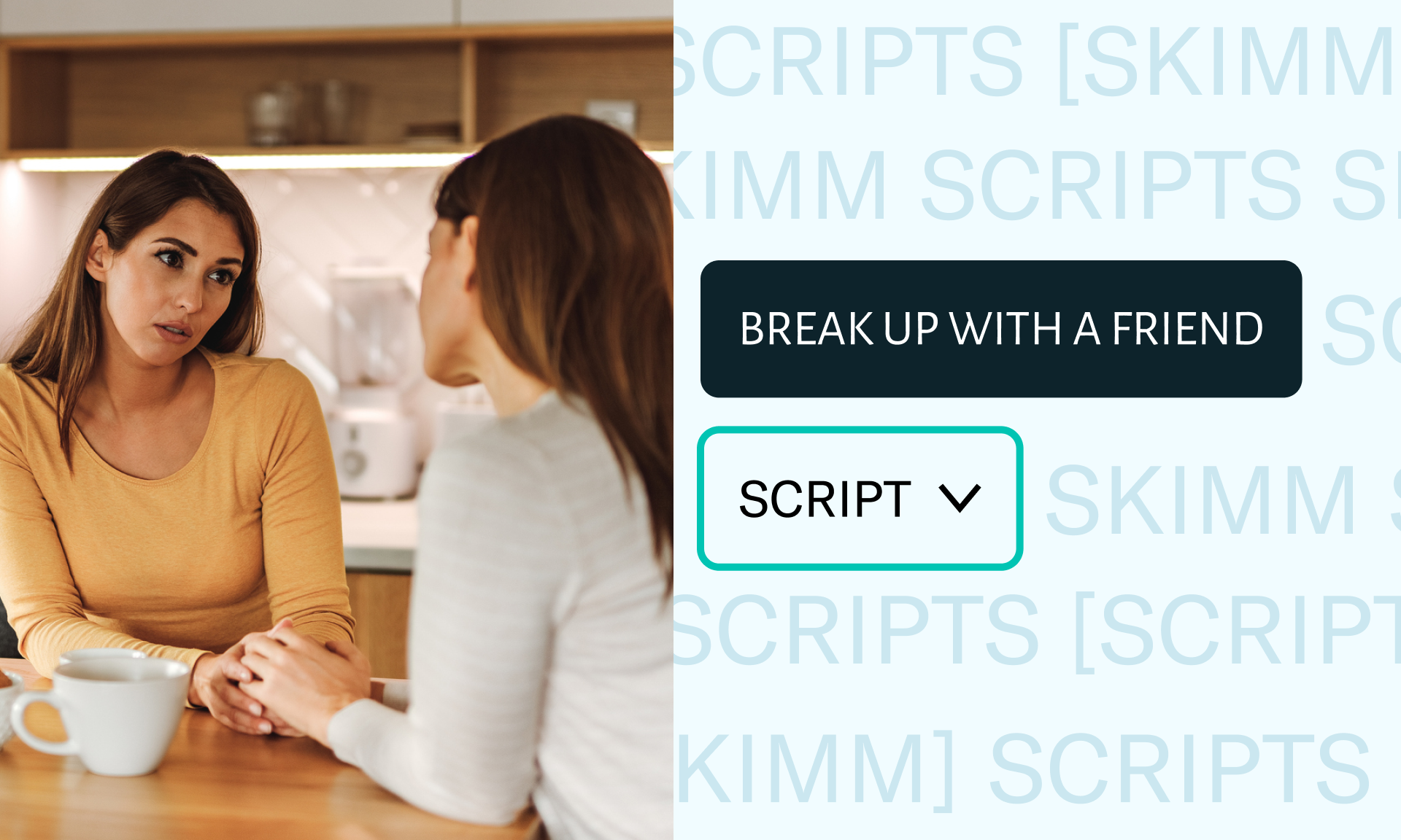 On the left: Two women having a conversation. On the right: Copy that says 'break up with a friend, script'