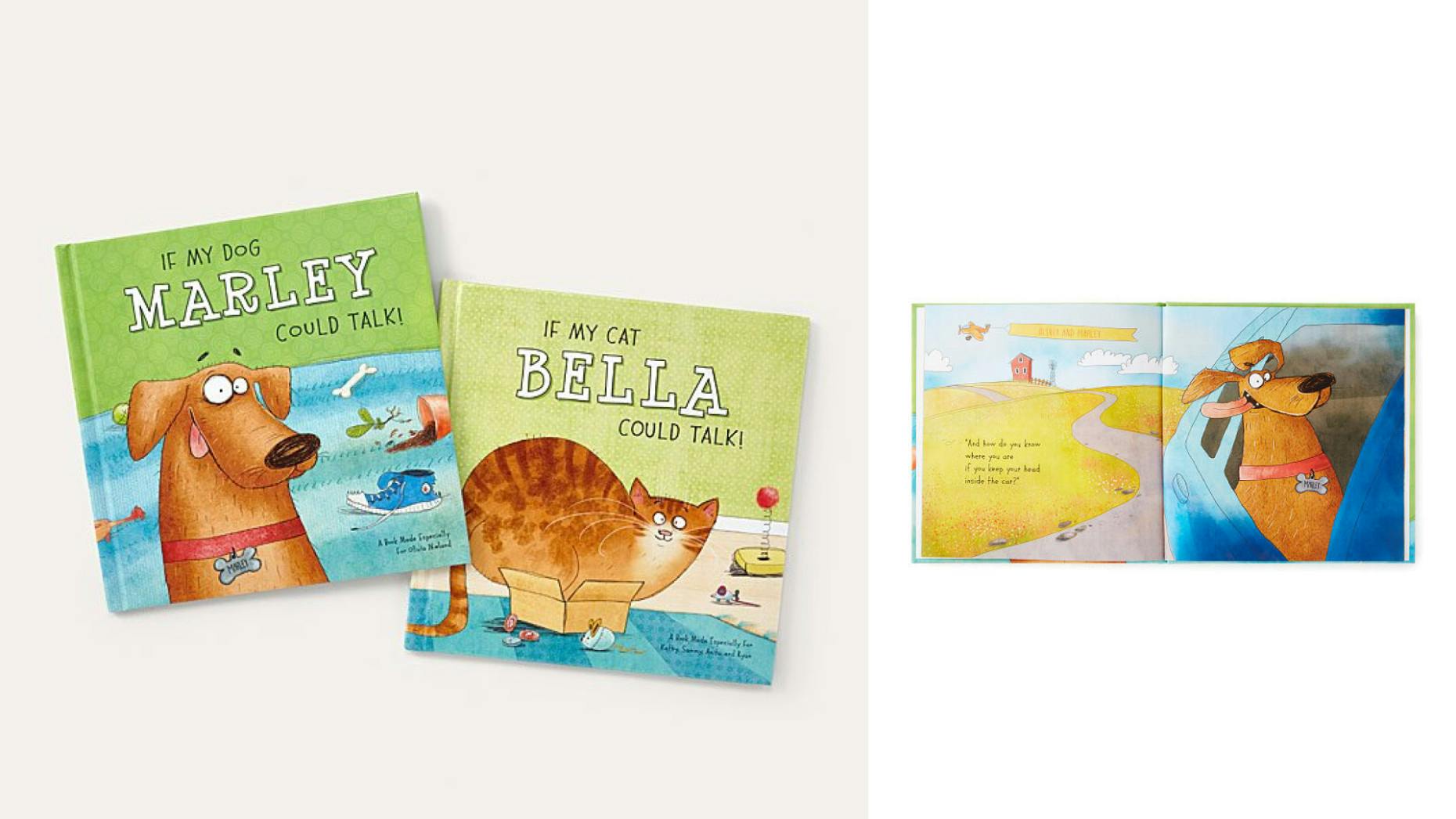 personalized children’s book about pets