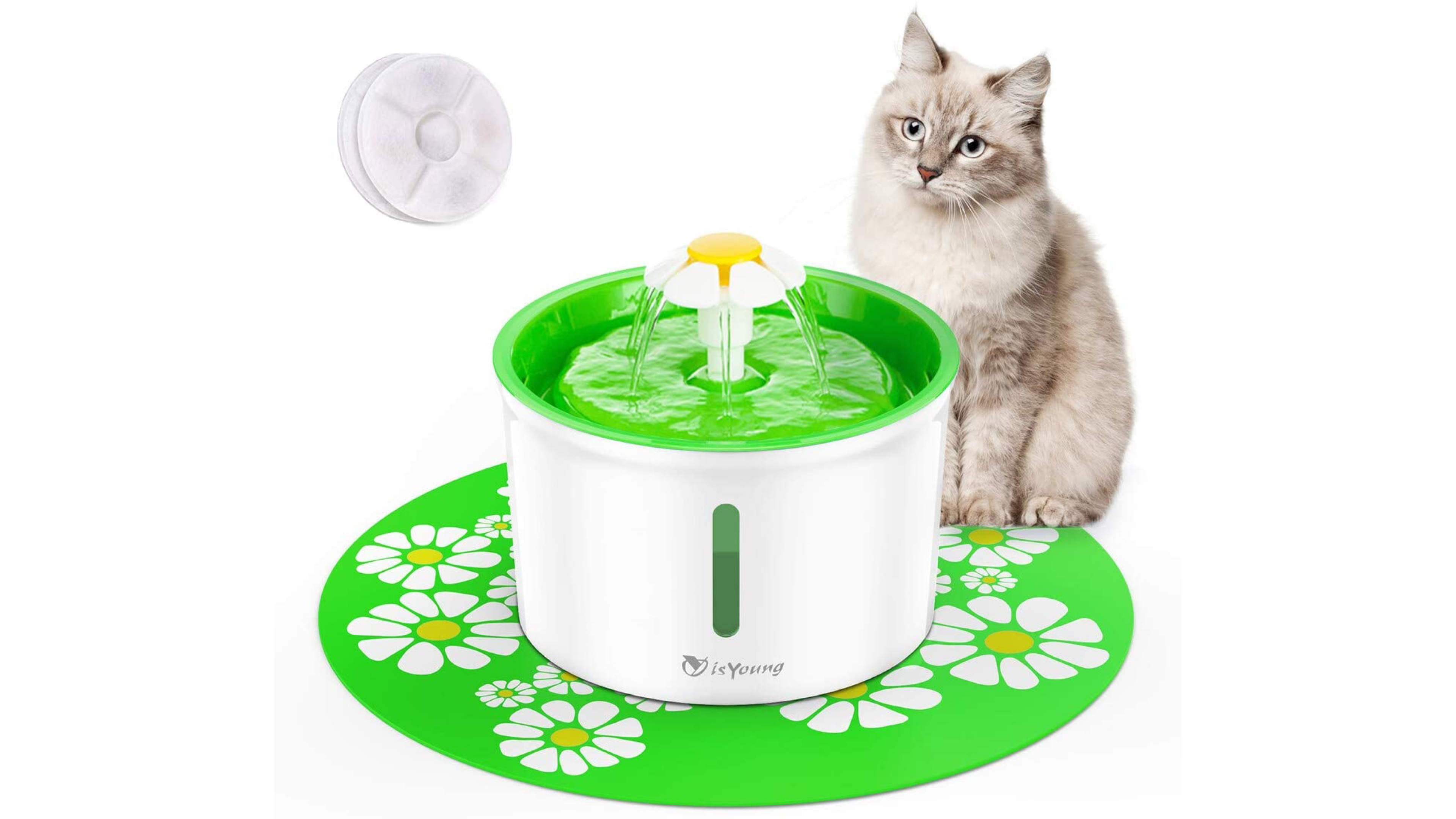 cat water fountain with a filter