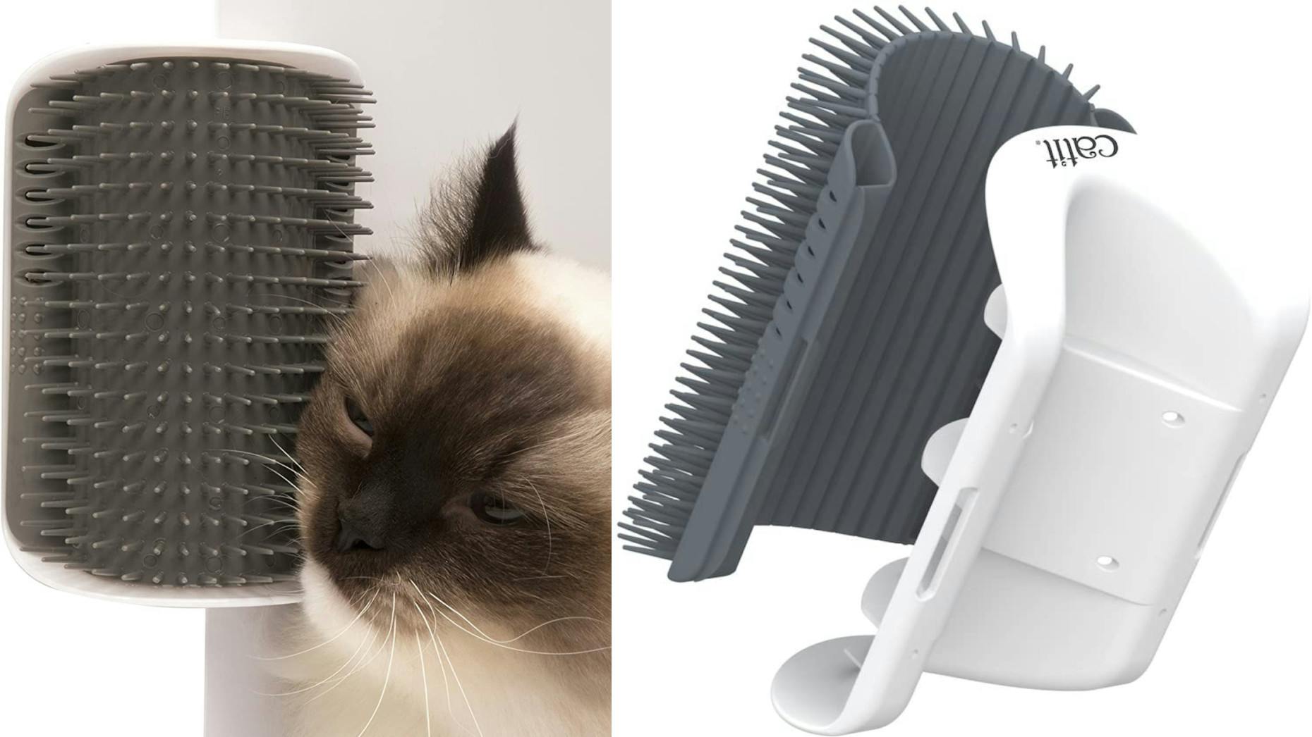 wall-mounted self-grooming brush for cats