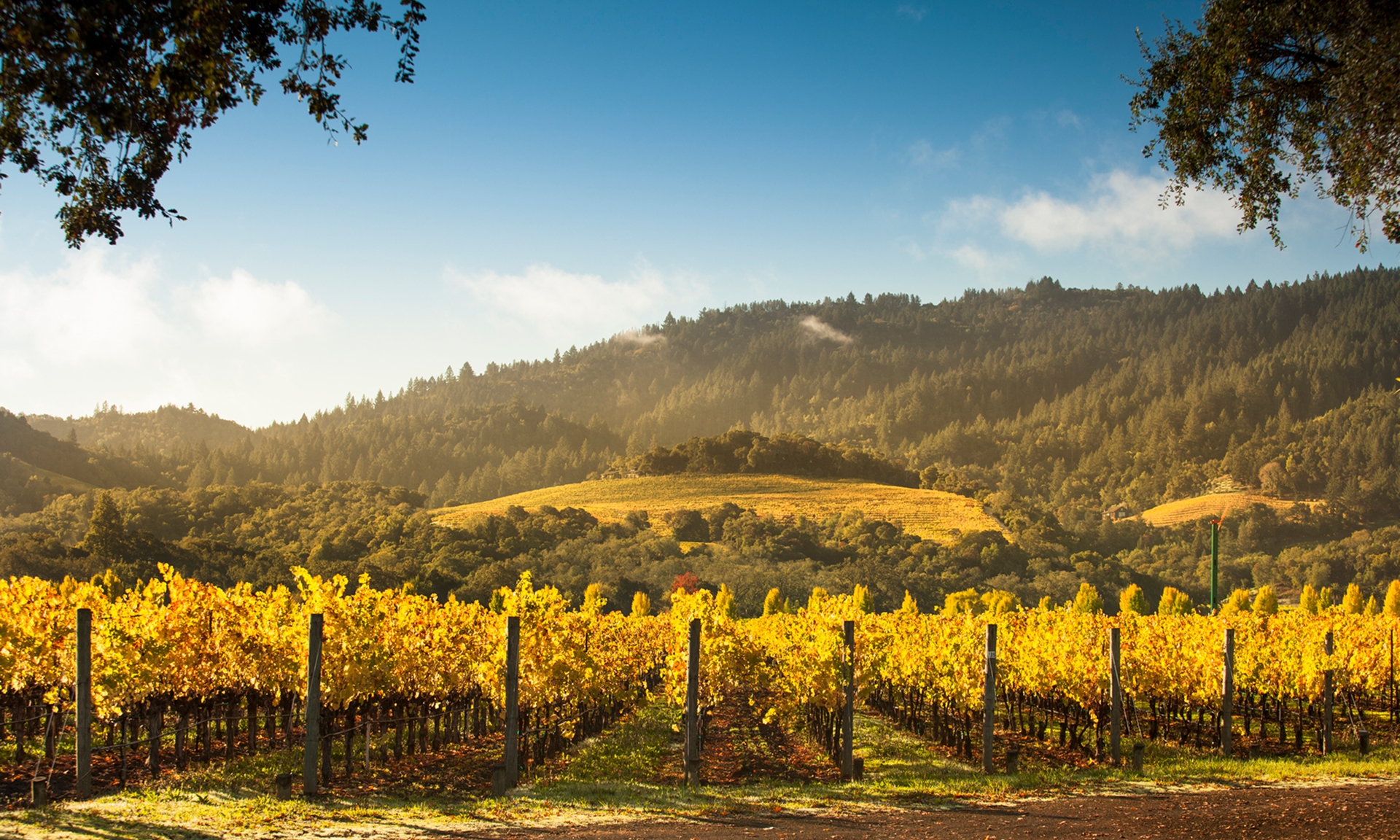 Healdsburg, California