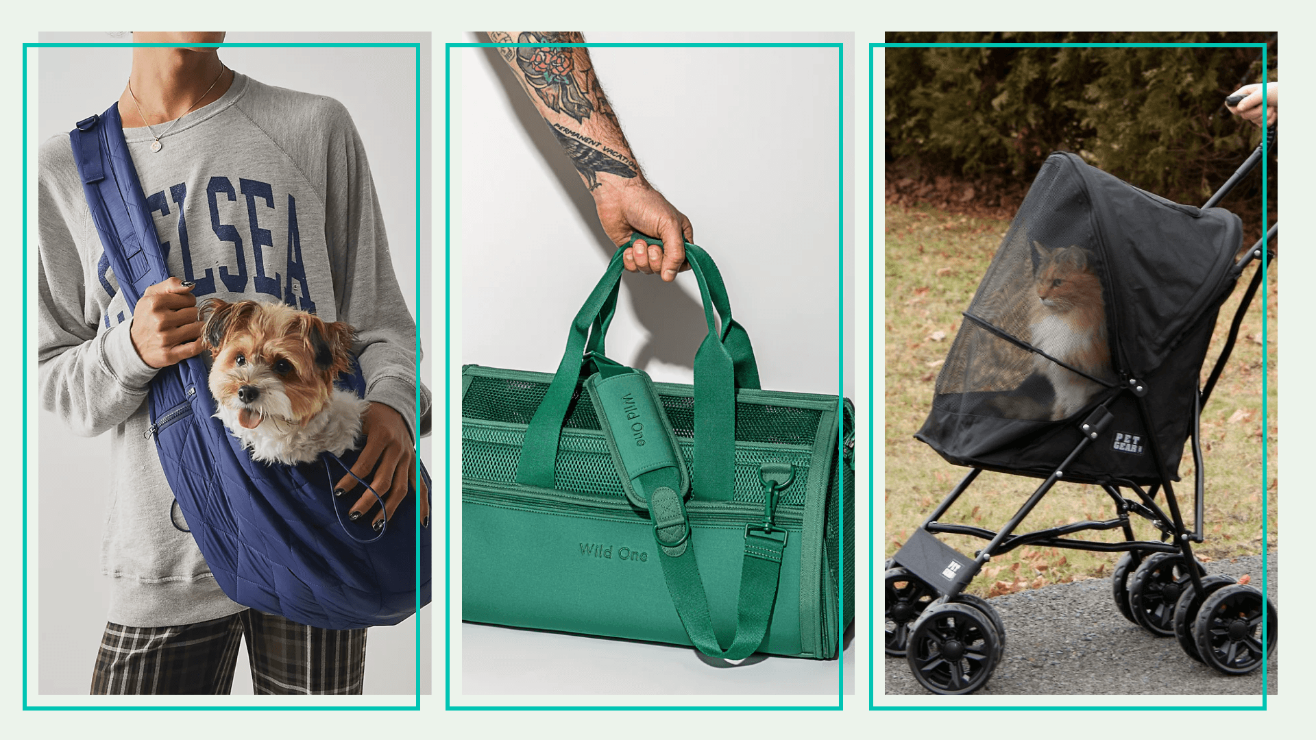 Pet Carriers and Pet Strollers for Your Every Need | theSkimm