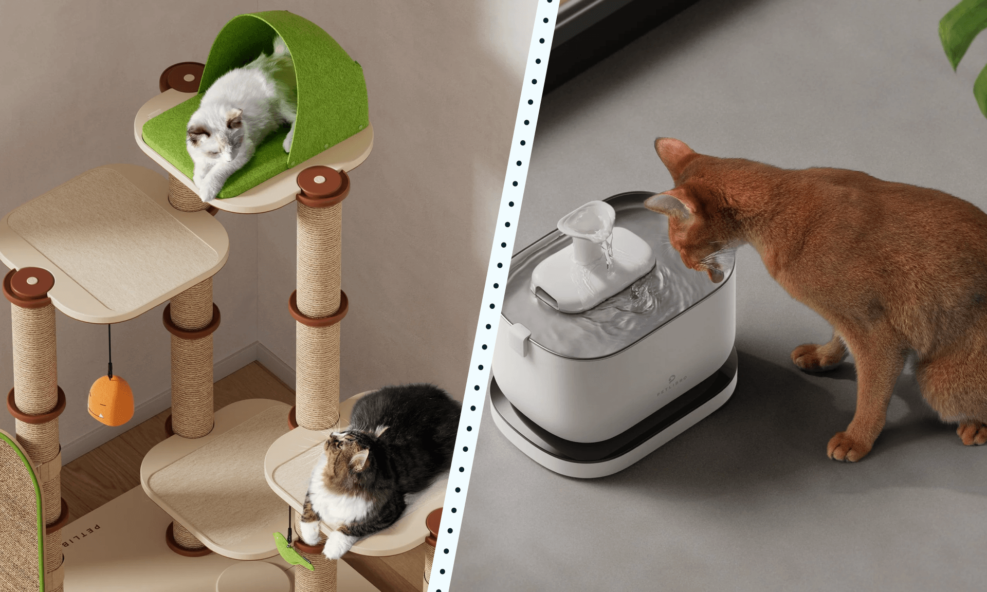 4 Problem Solving Essentials to Buy for Your Cat theSkimm