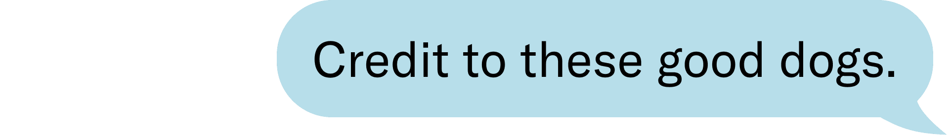 Credit to these good dogs.