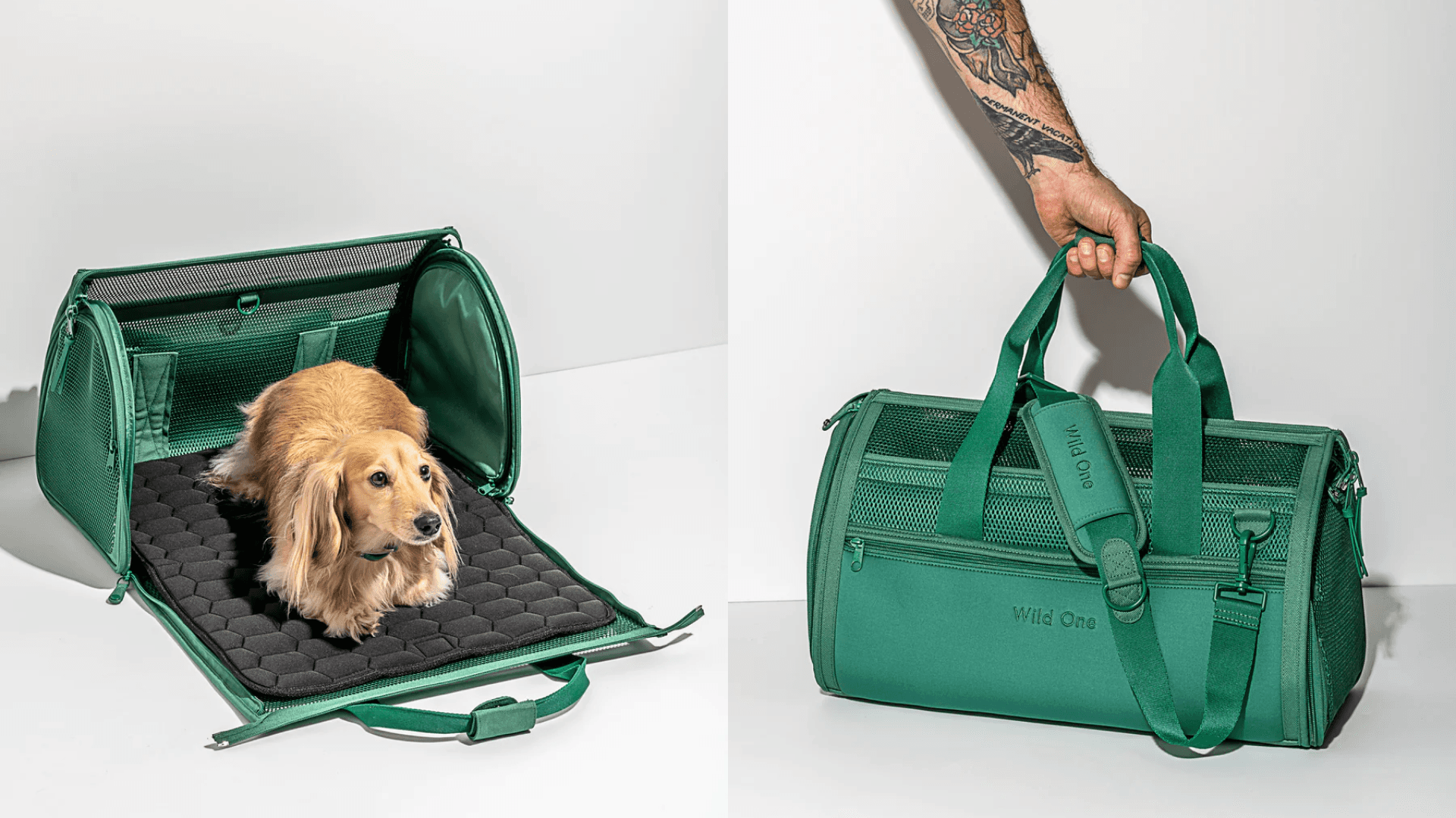 Pet Carriers and Pet Strollers for Your Every Need | theSkimm