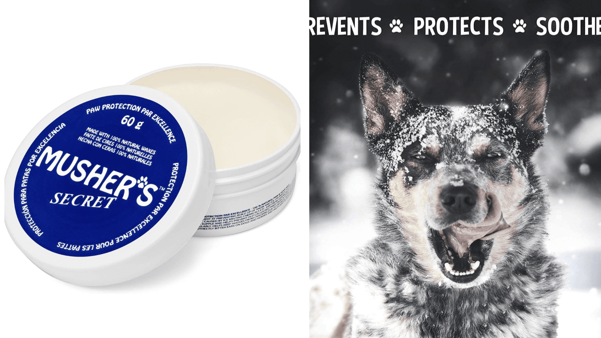 Mushers Secret dog balm 