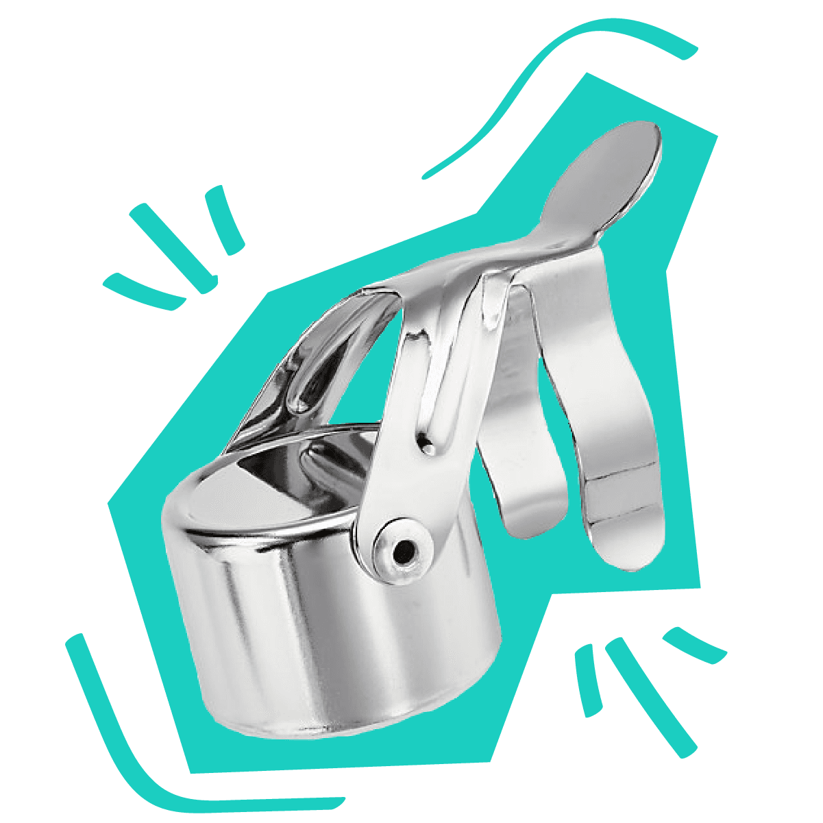 Crate&Barrel Champagne Stopper