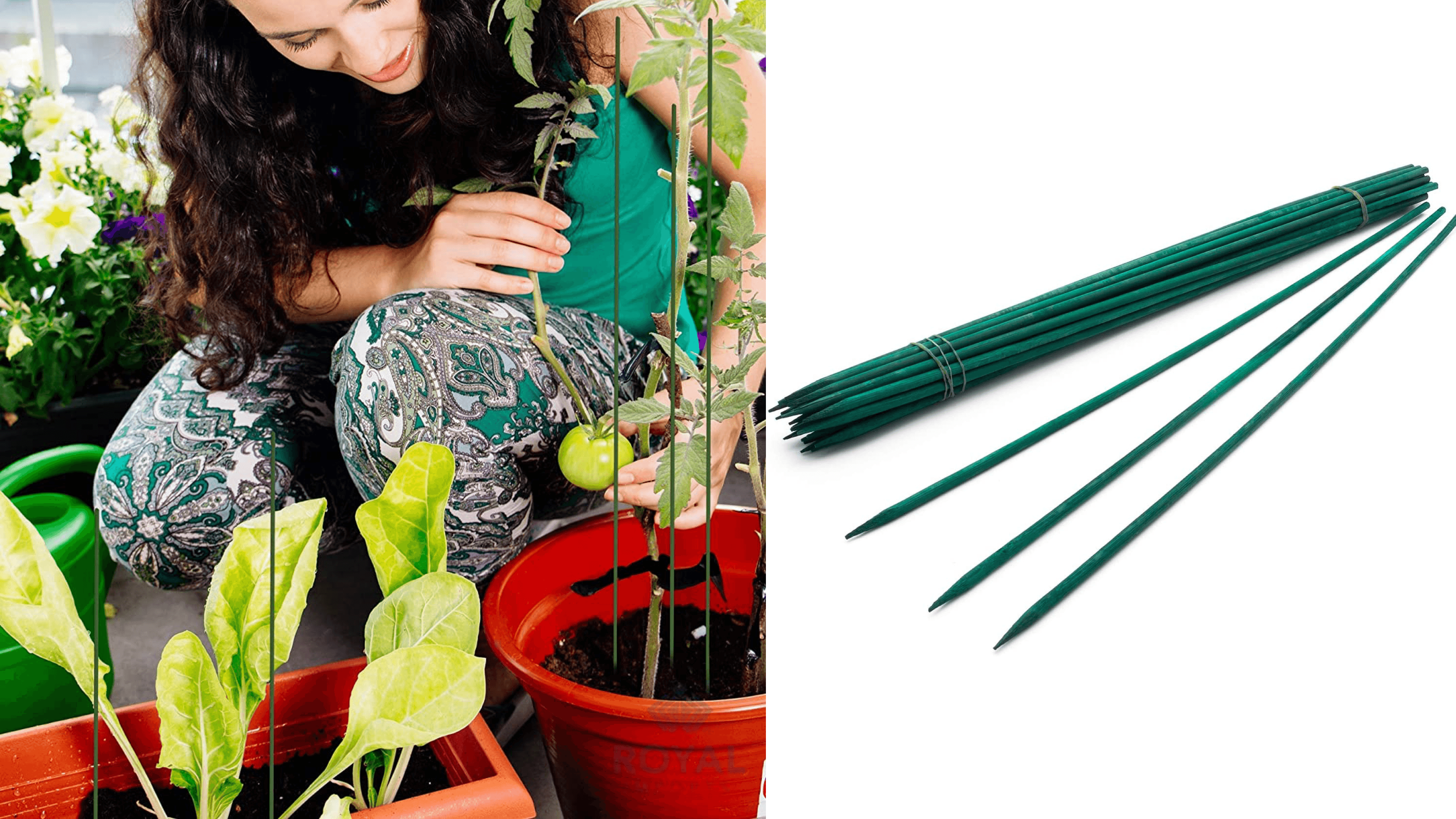 plant stakes to help them stand upright