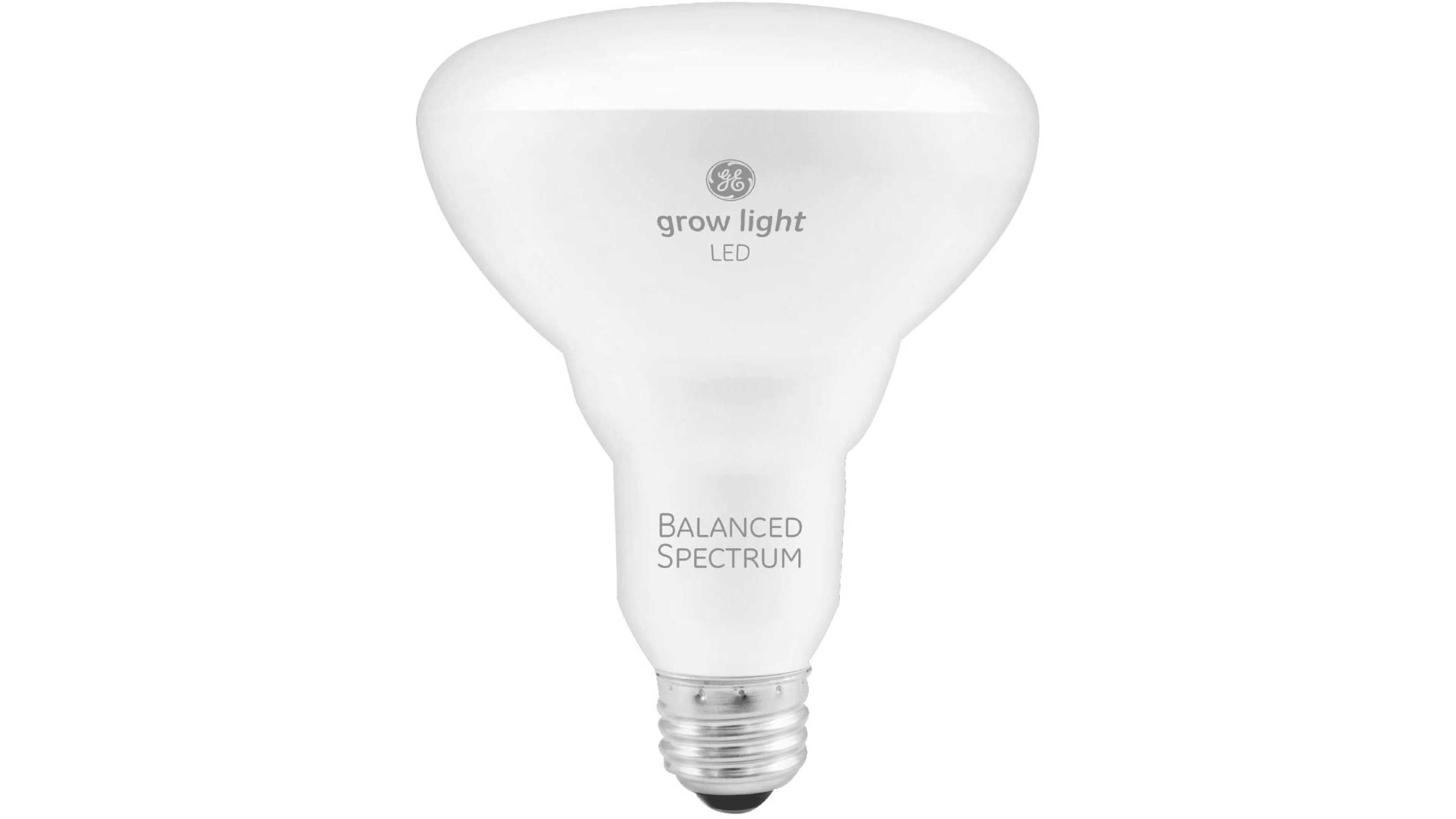 lightbulb to help plants grow indoors