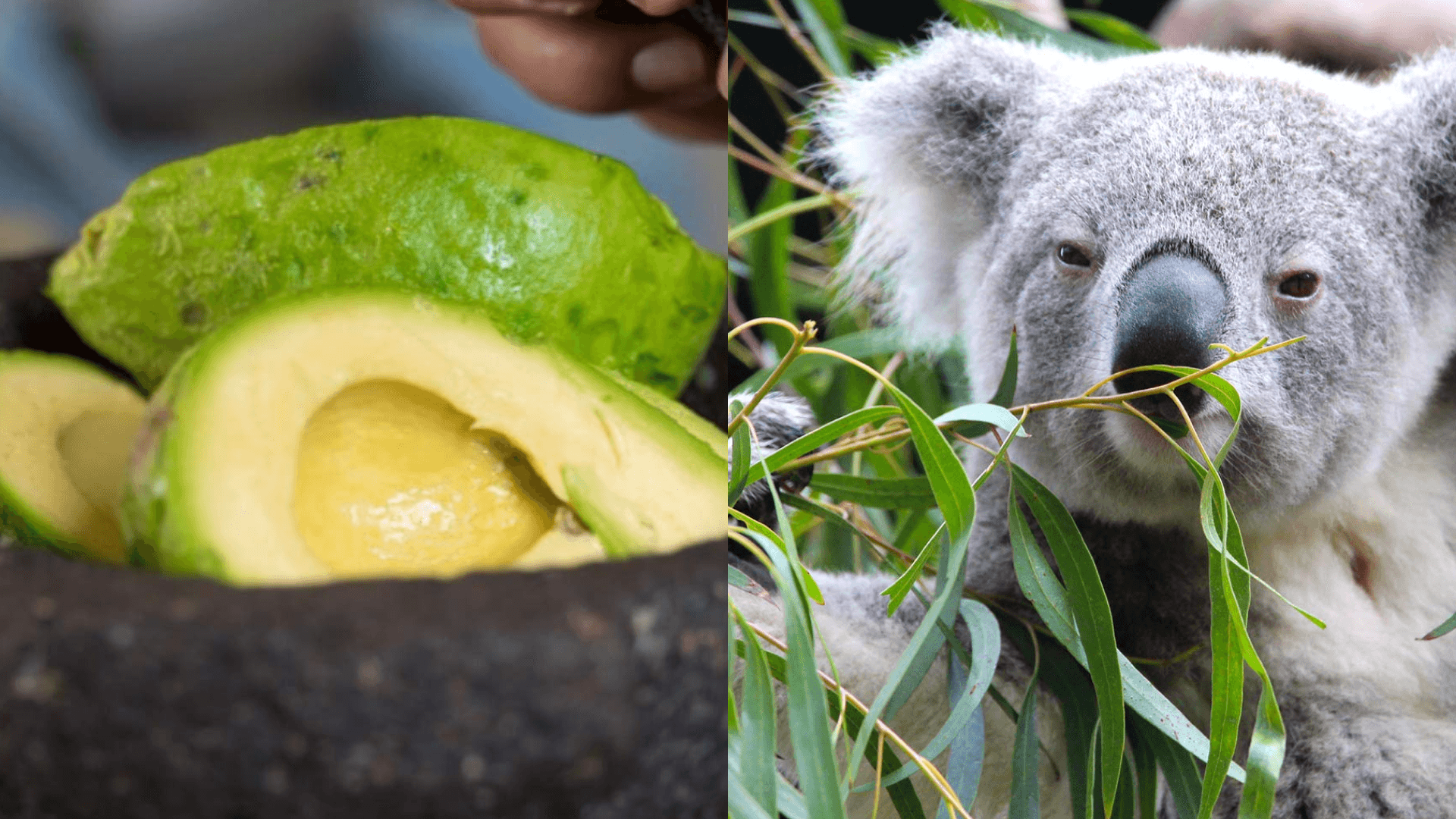 virtual-experience-sale