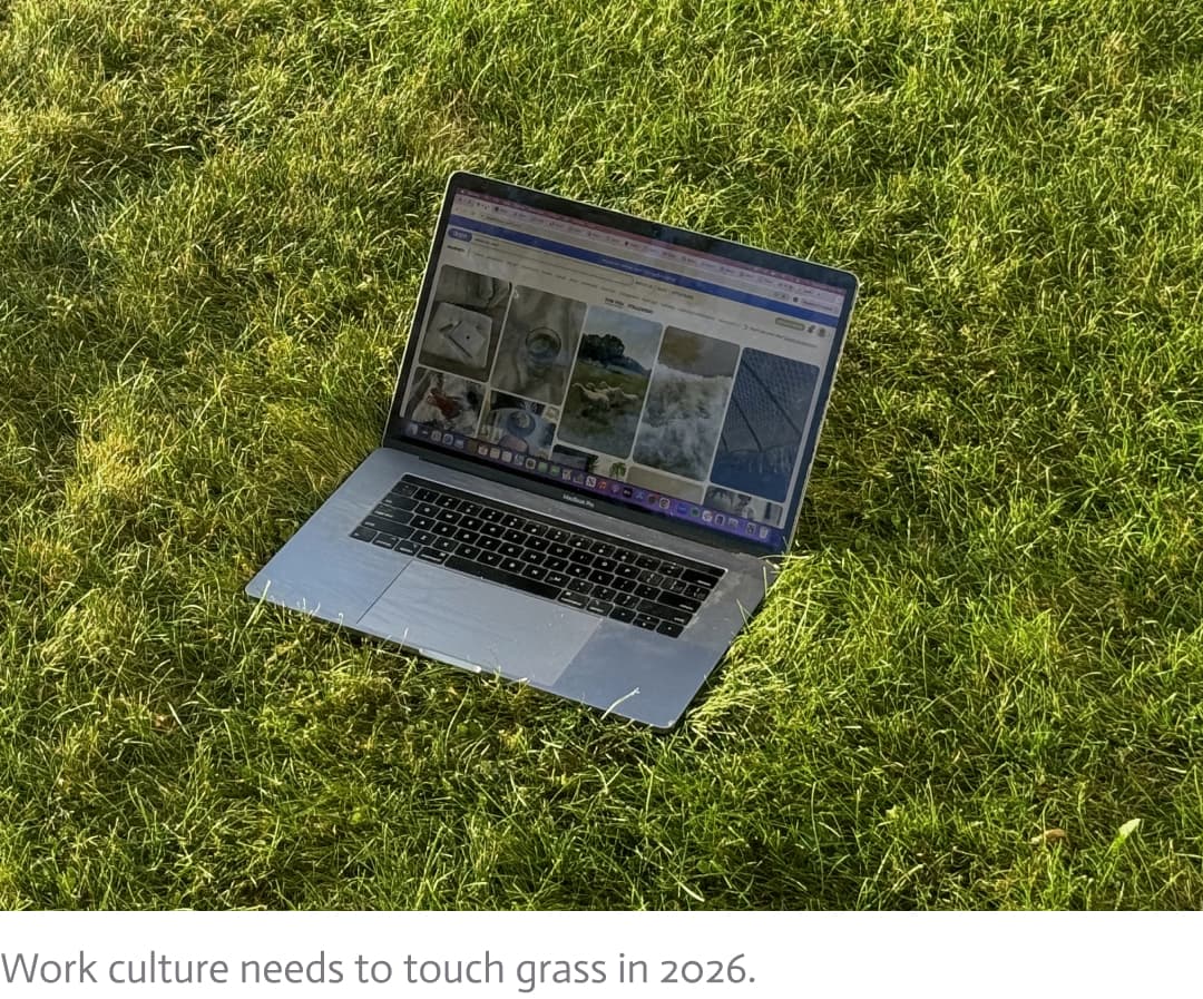 laptop on grass