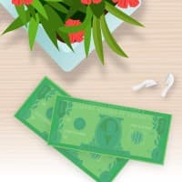 Dollar bills, headphones and flowers