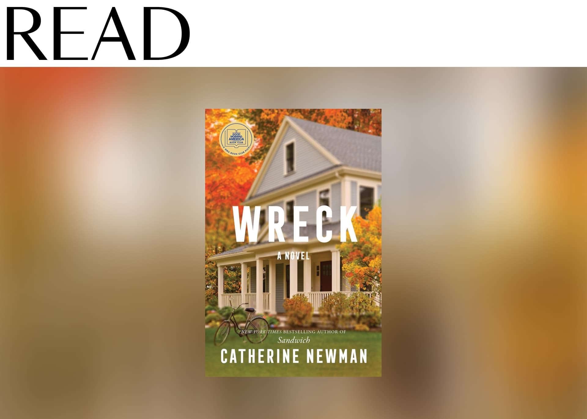 Wreck by Catherine Newman 