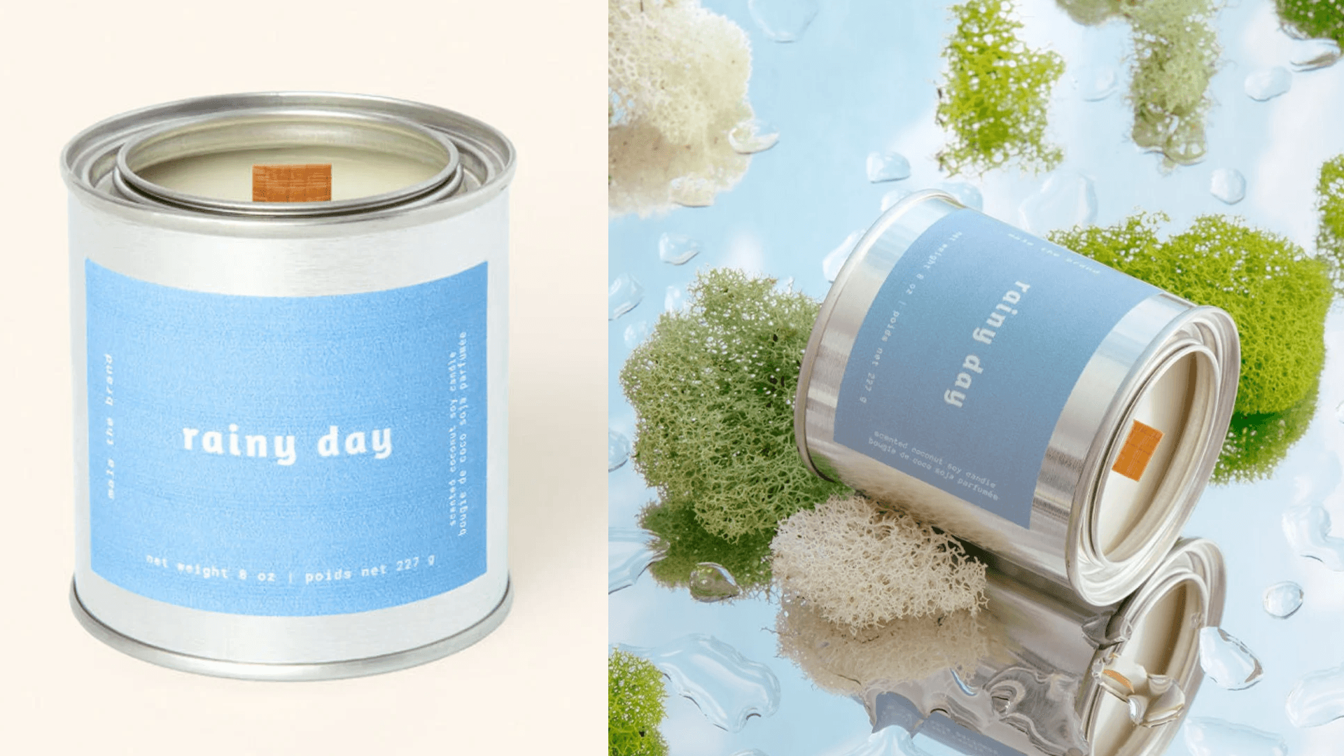 eucalyptus cedarwood candle