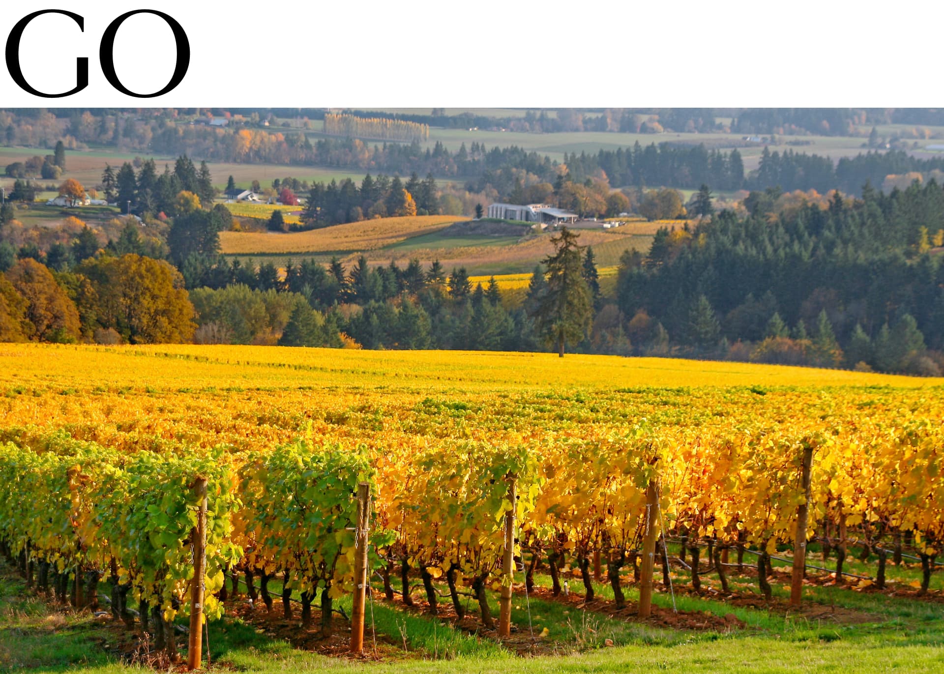 Oregon’s Willamette Valley 