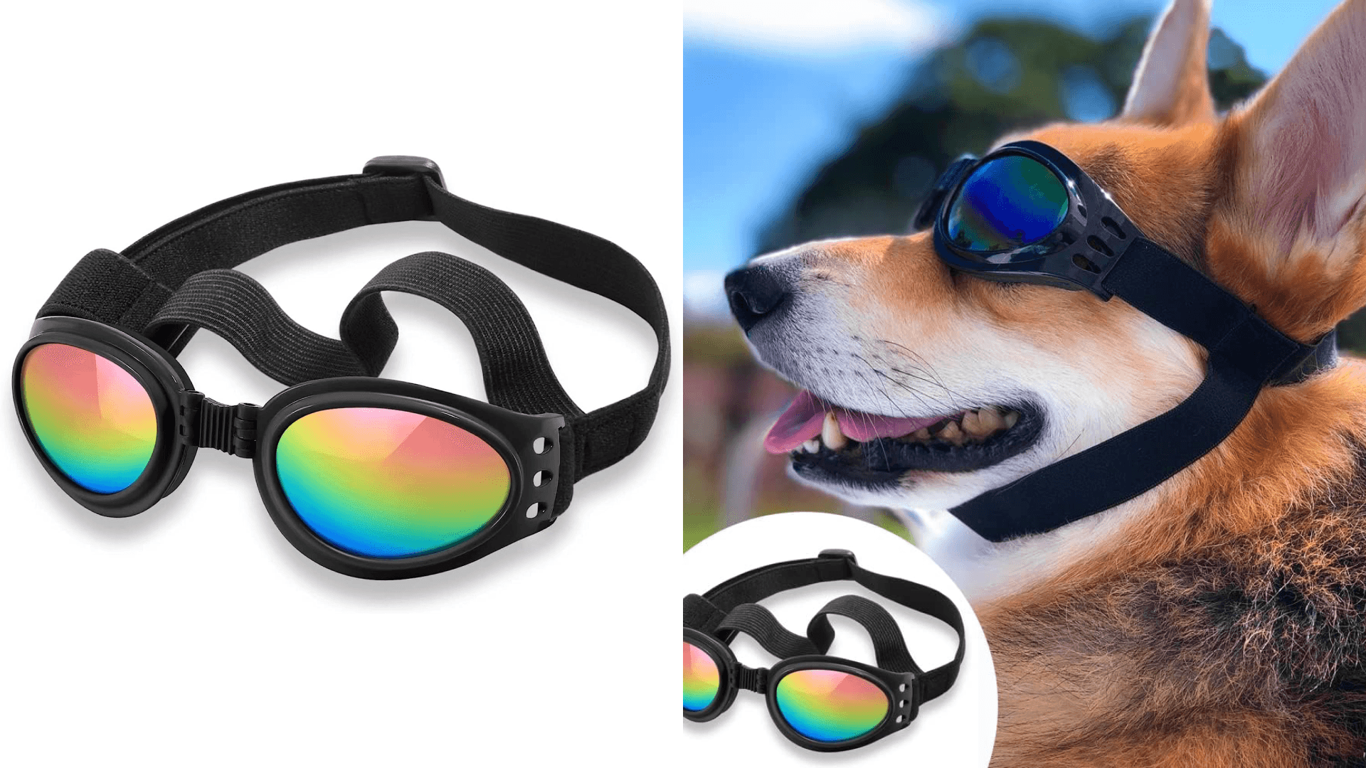 Dog sunglasses