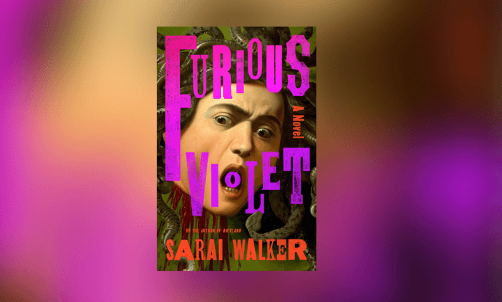 FURIOUS VIOLET BOOK COVER