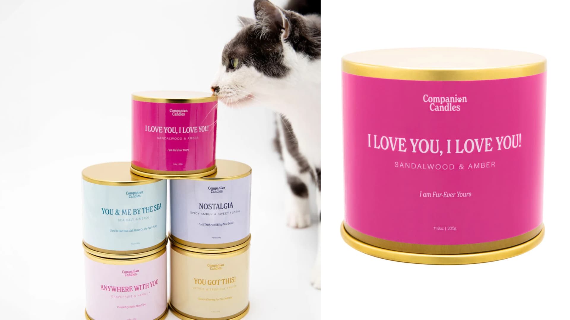 candle that's safe for pets