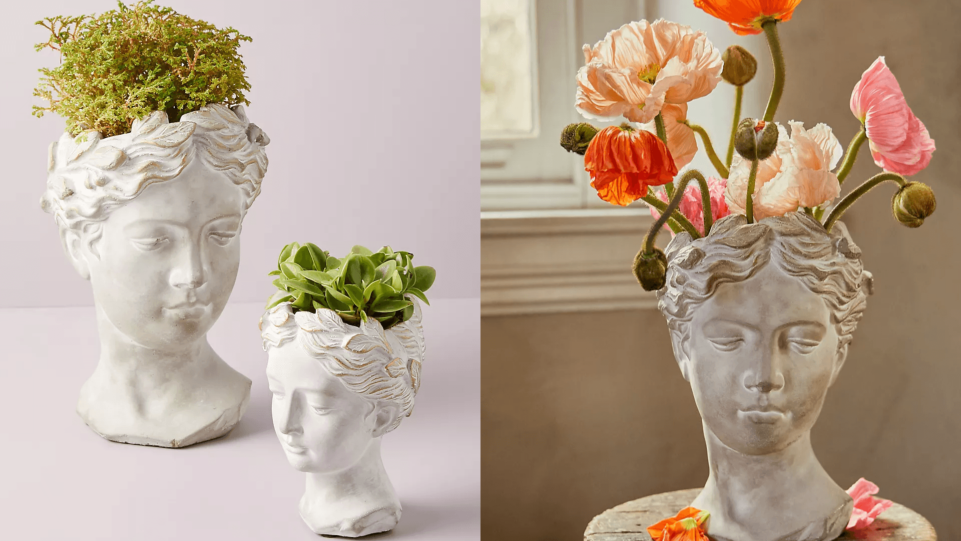 Grecian bust anthropologie planter 