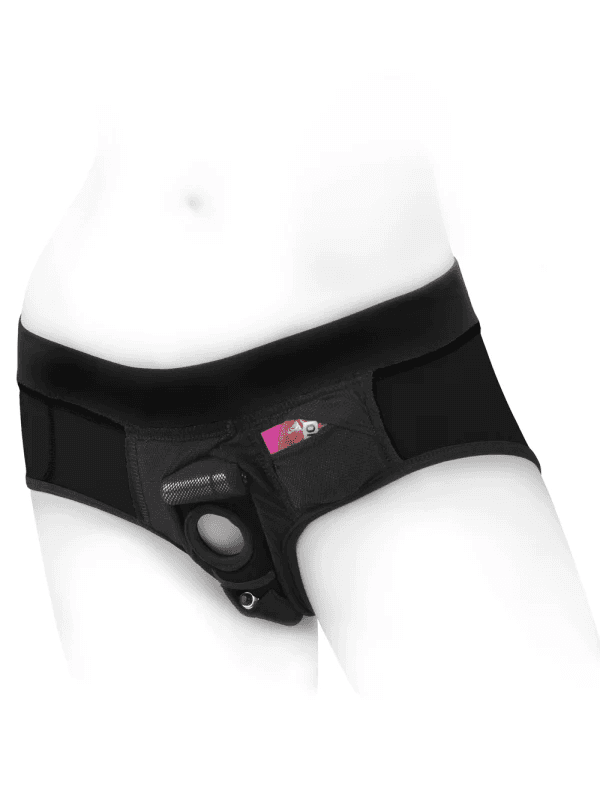 Babeland Harness Briefs