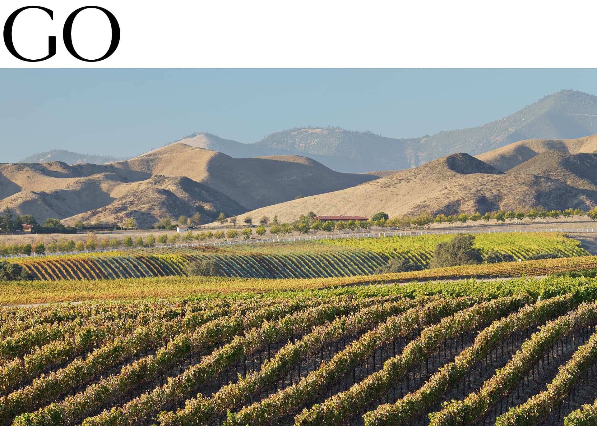 GO: Los Olivos, CA