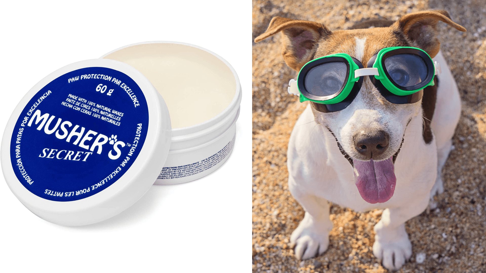 Dog paw balm