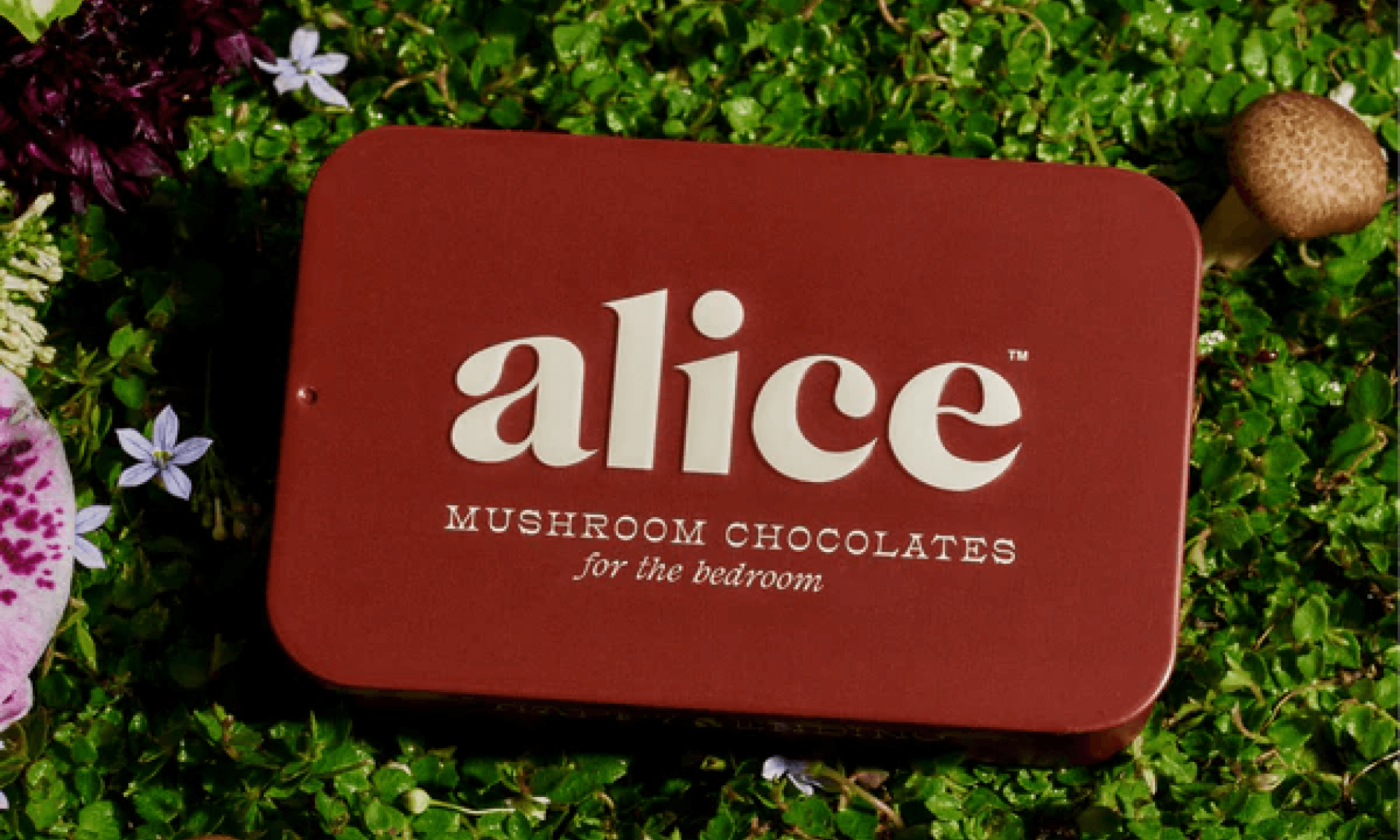 Alice Happy Ending Mushroom Chocolate
