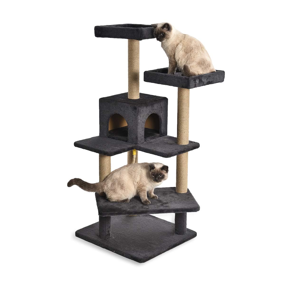 Cat Tree