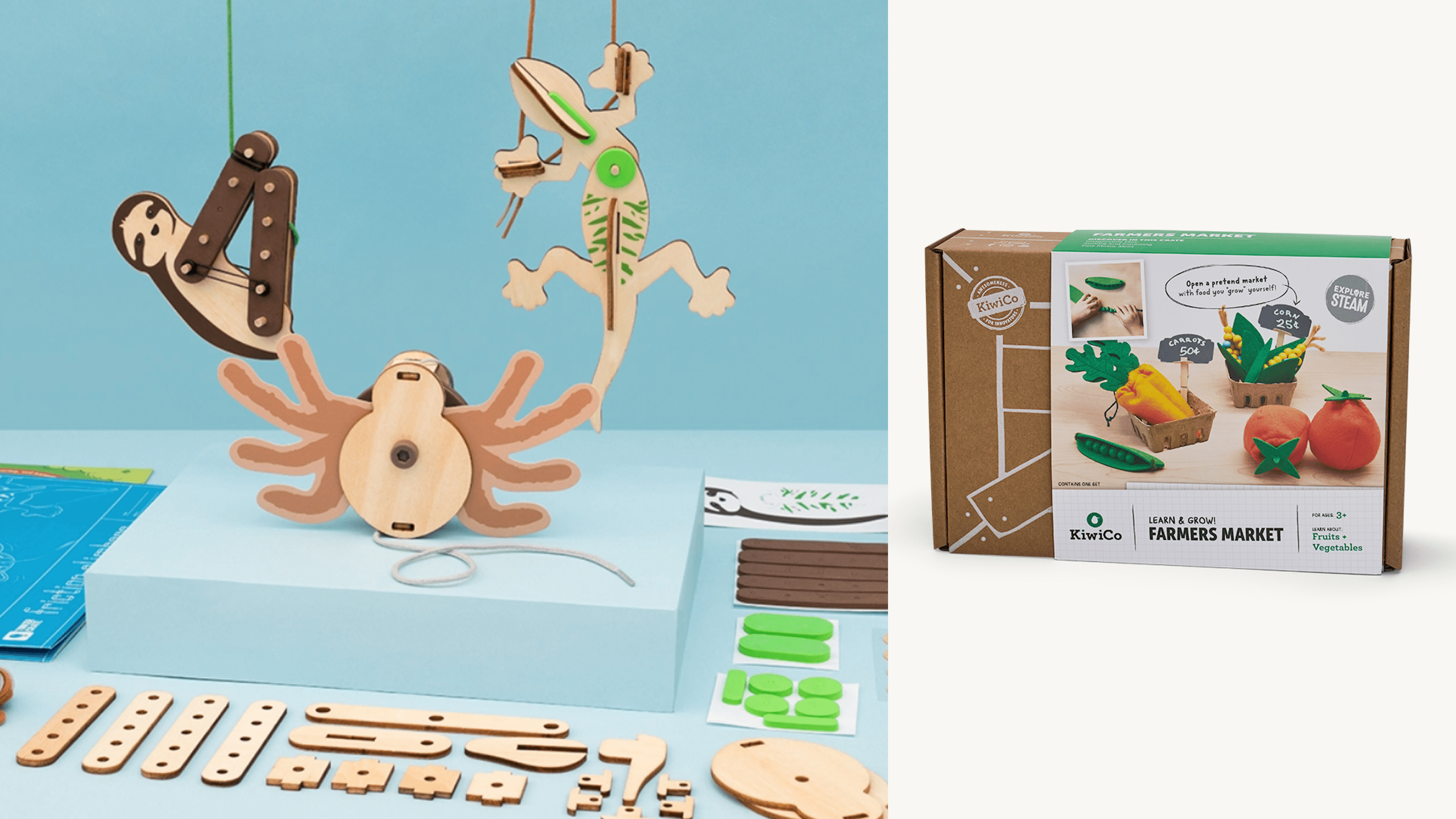 science and art-based project crates shipped to your door