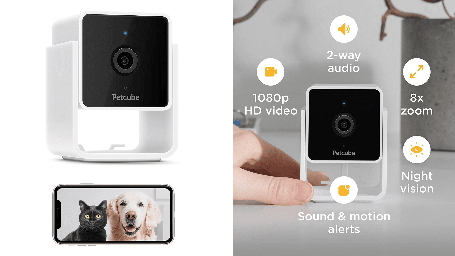 Pet camera RTO anxiety 