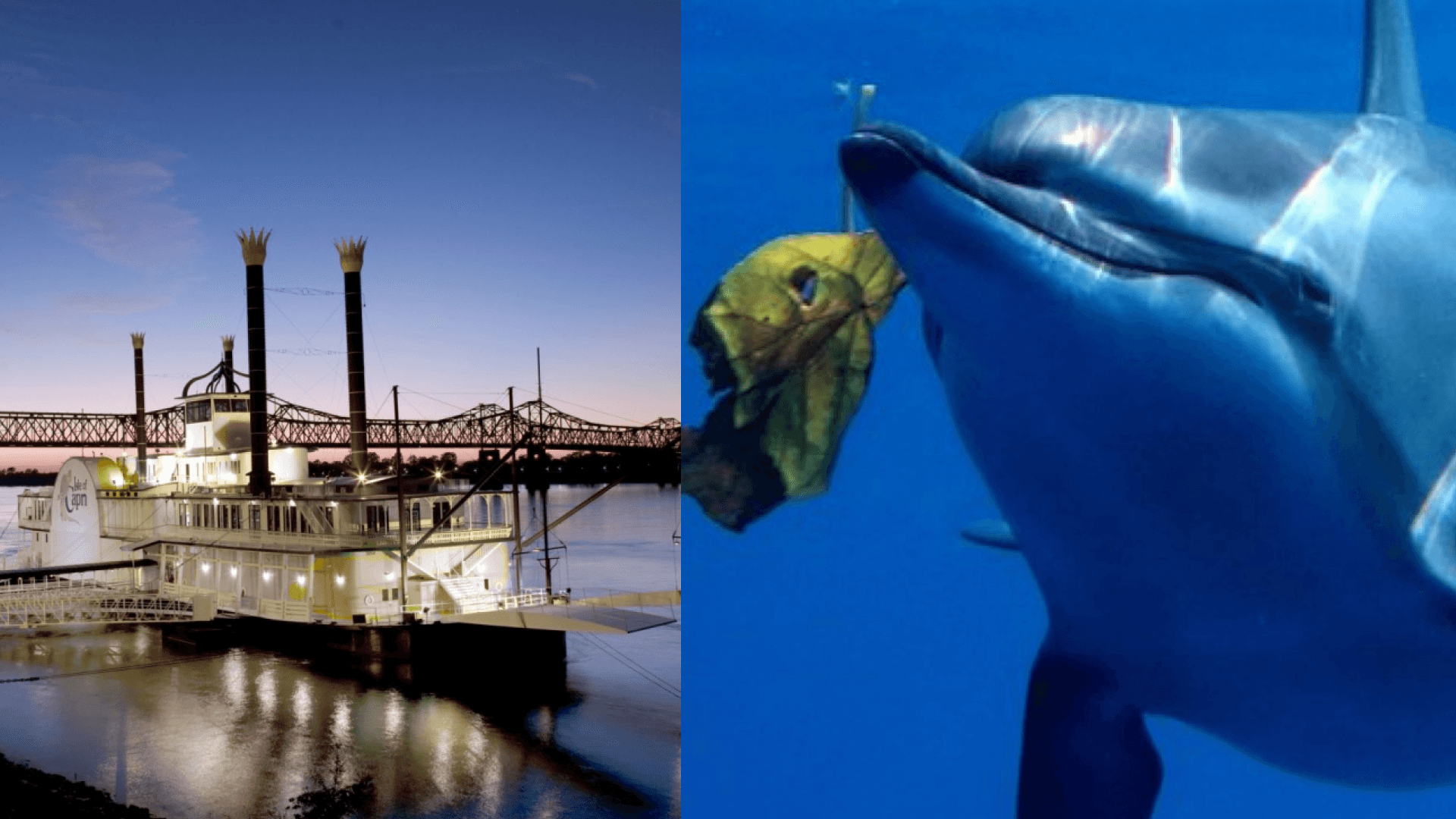 Adventure Experience Last Minute Valentine Day Gifts