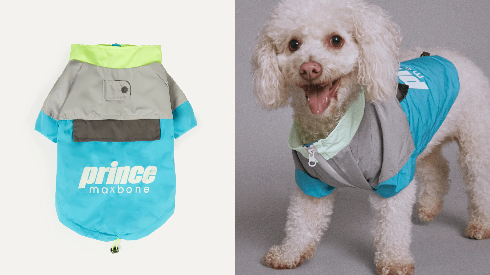 Dog, Nwtdog Clothes Hoodiepullover Designer Inspired Colorful Logo Small  Dogsoft