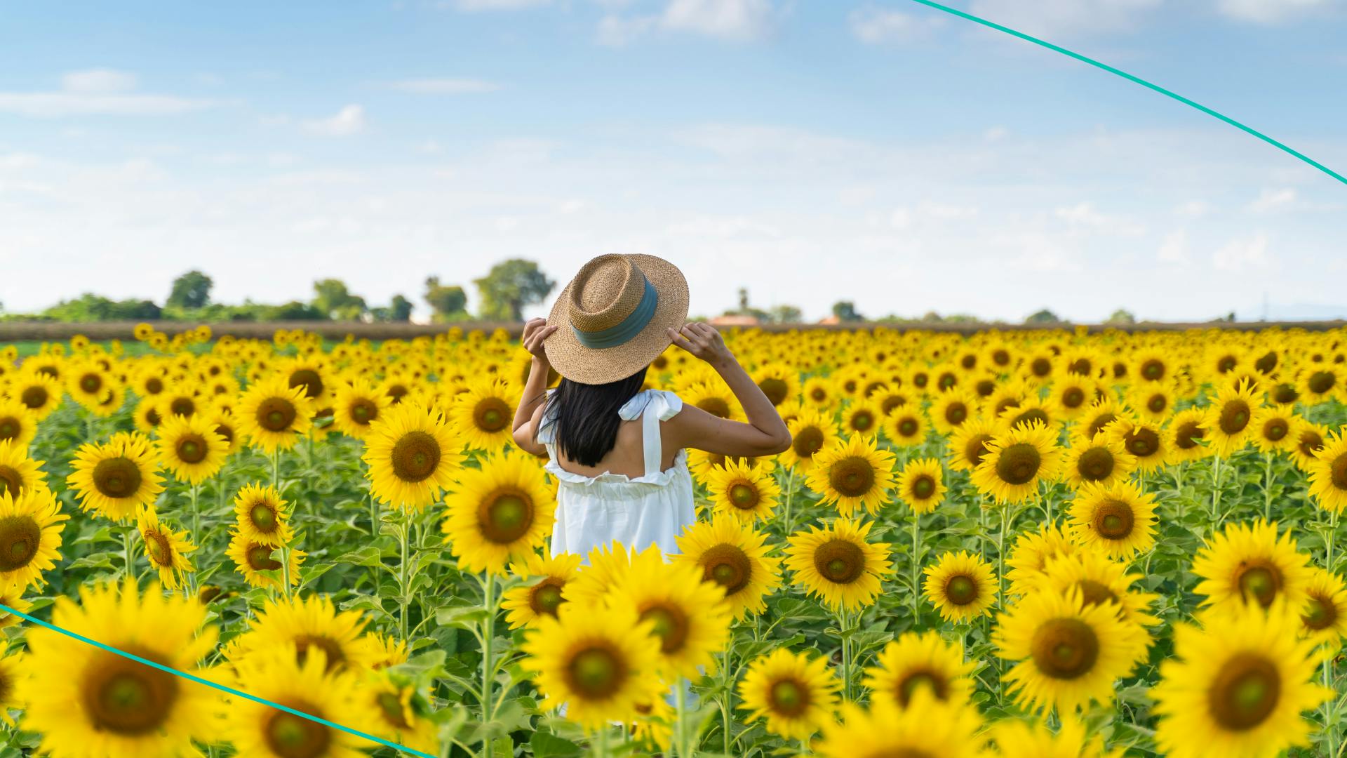 Woman in sunflower field