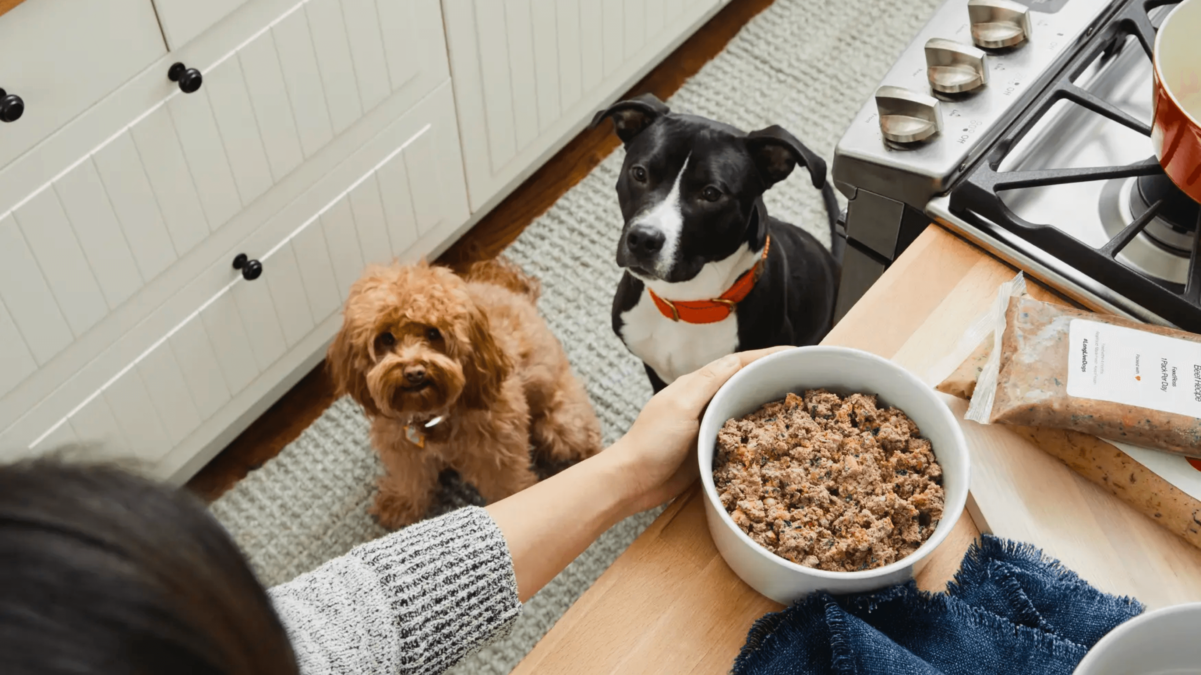 11 Convenient Pet Food Delivery Services theSkimm