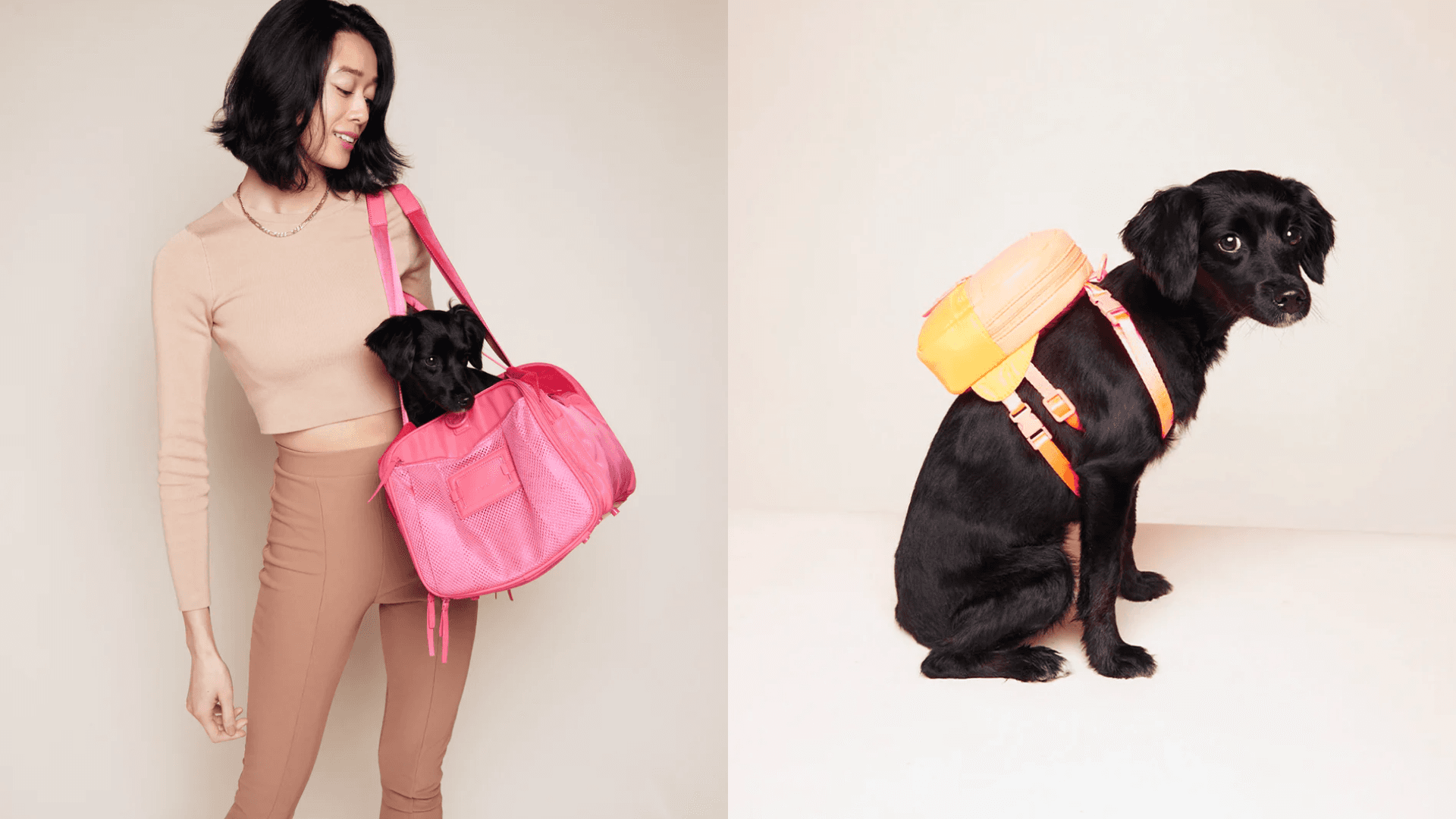 Pet carrier