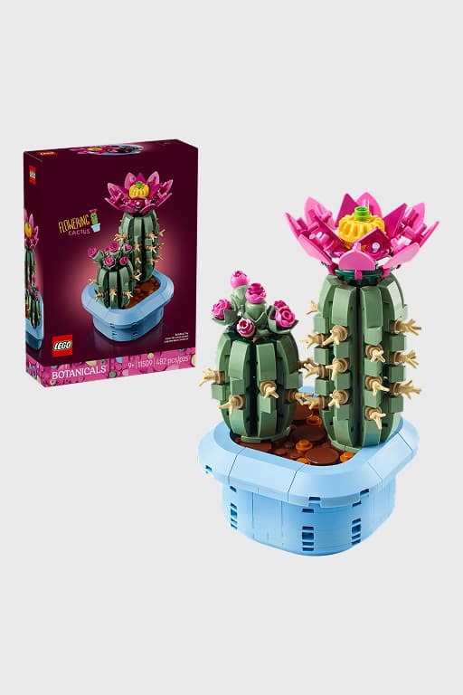 Botanicals Flowering Cactus Building Toy