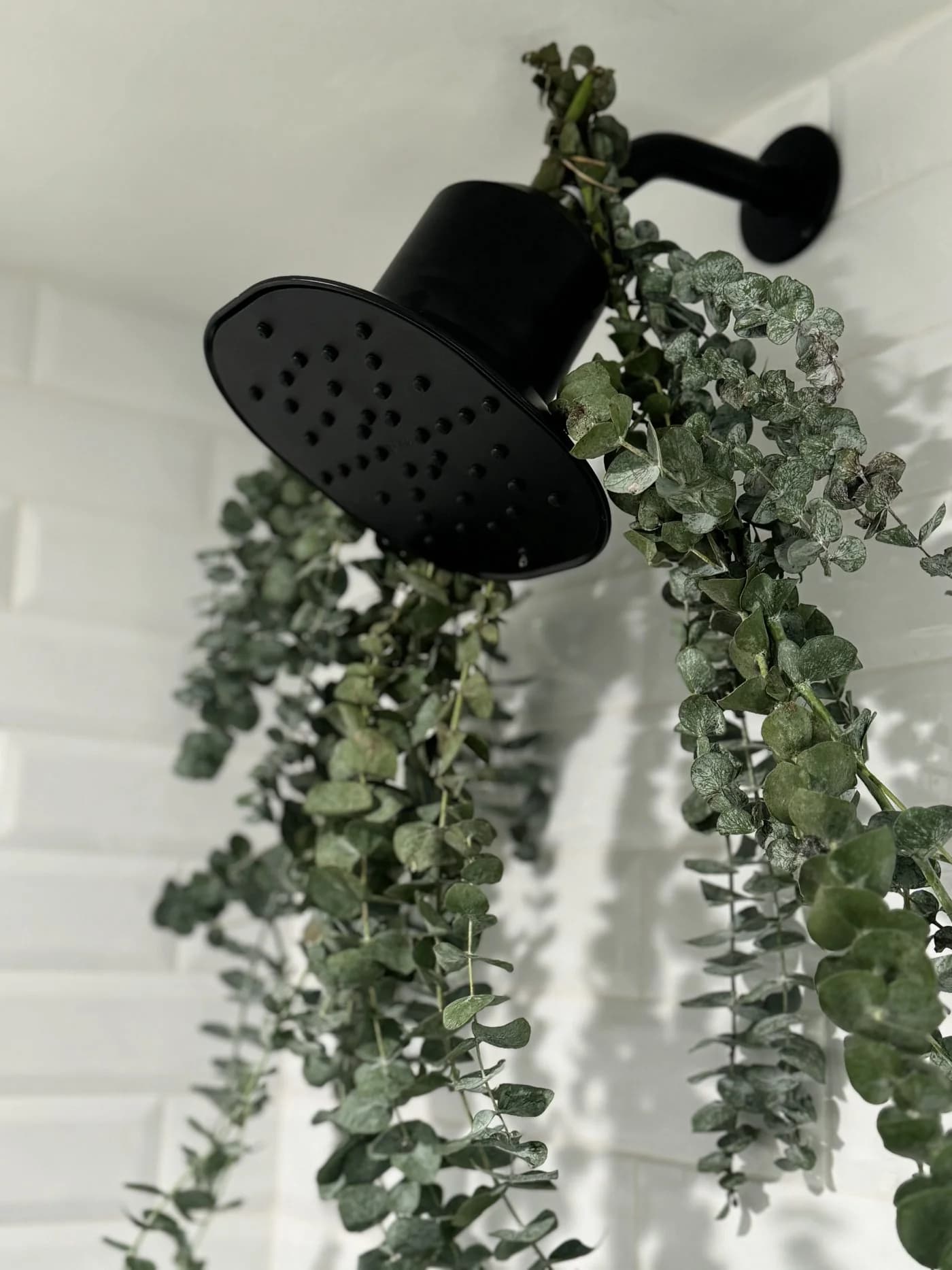 showerhead