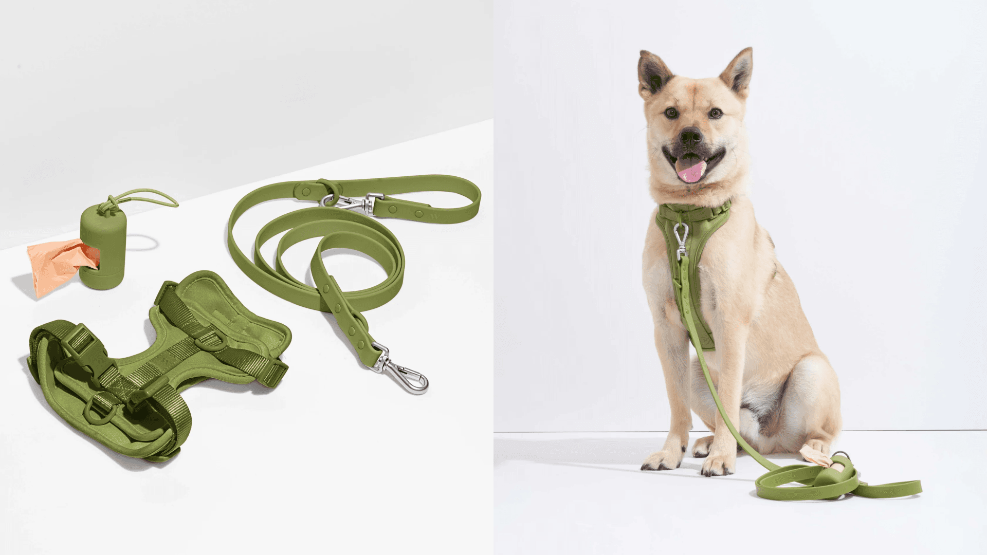 Dog harness