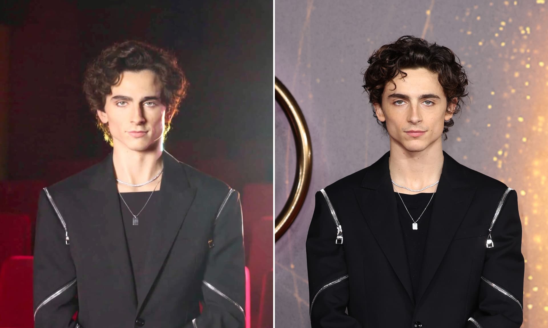 Left: Timothée Chalamet wax figure. Right: Timothée Chalamet at Dune premiere.