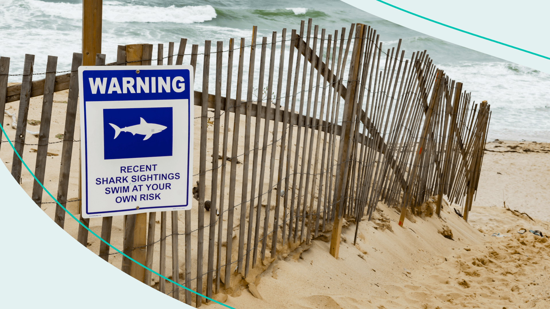 Shark sighting sign on a beach