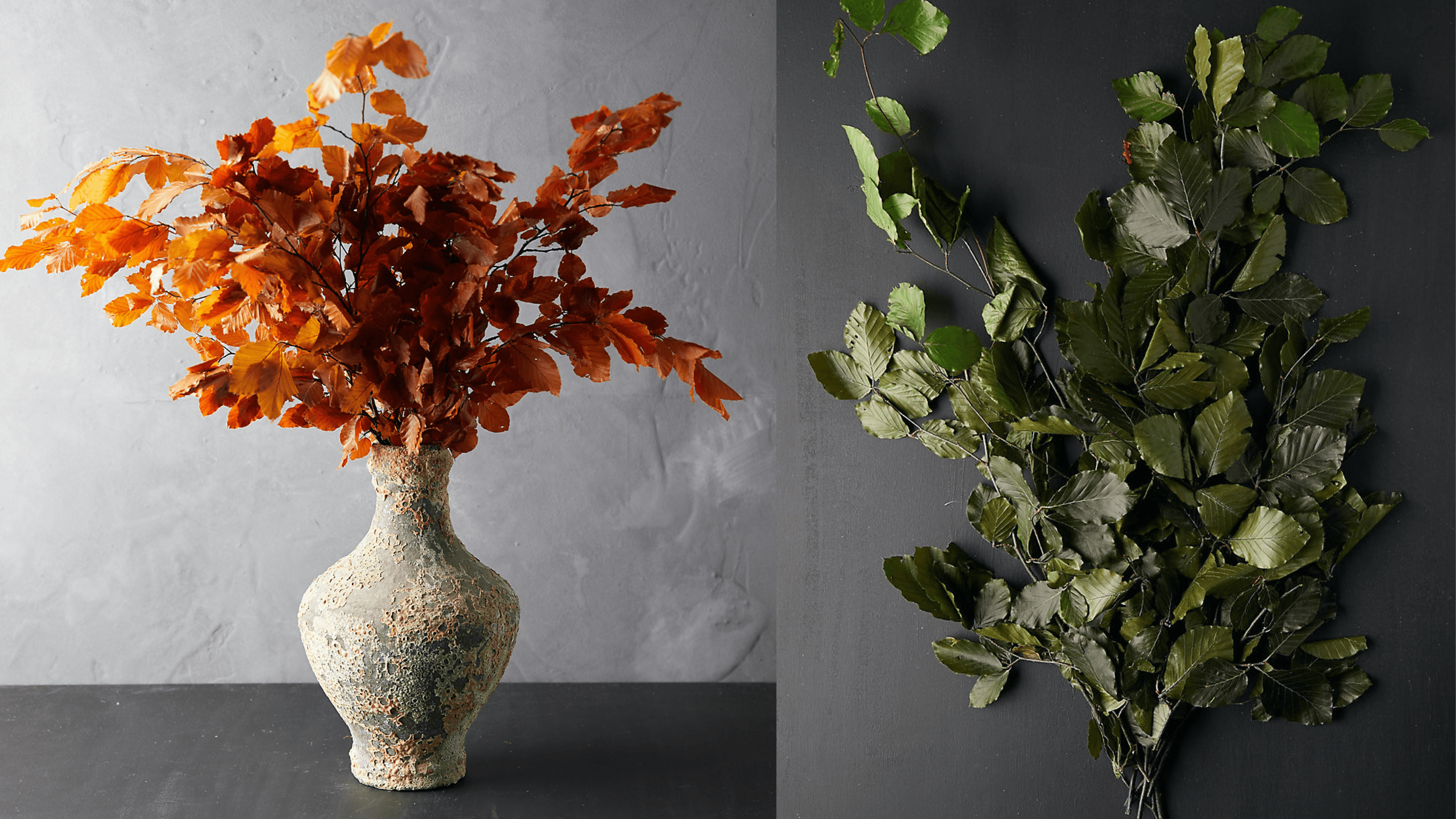 dried leaves for floral arrangements