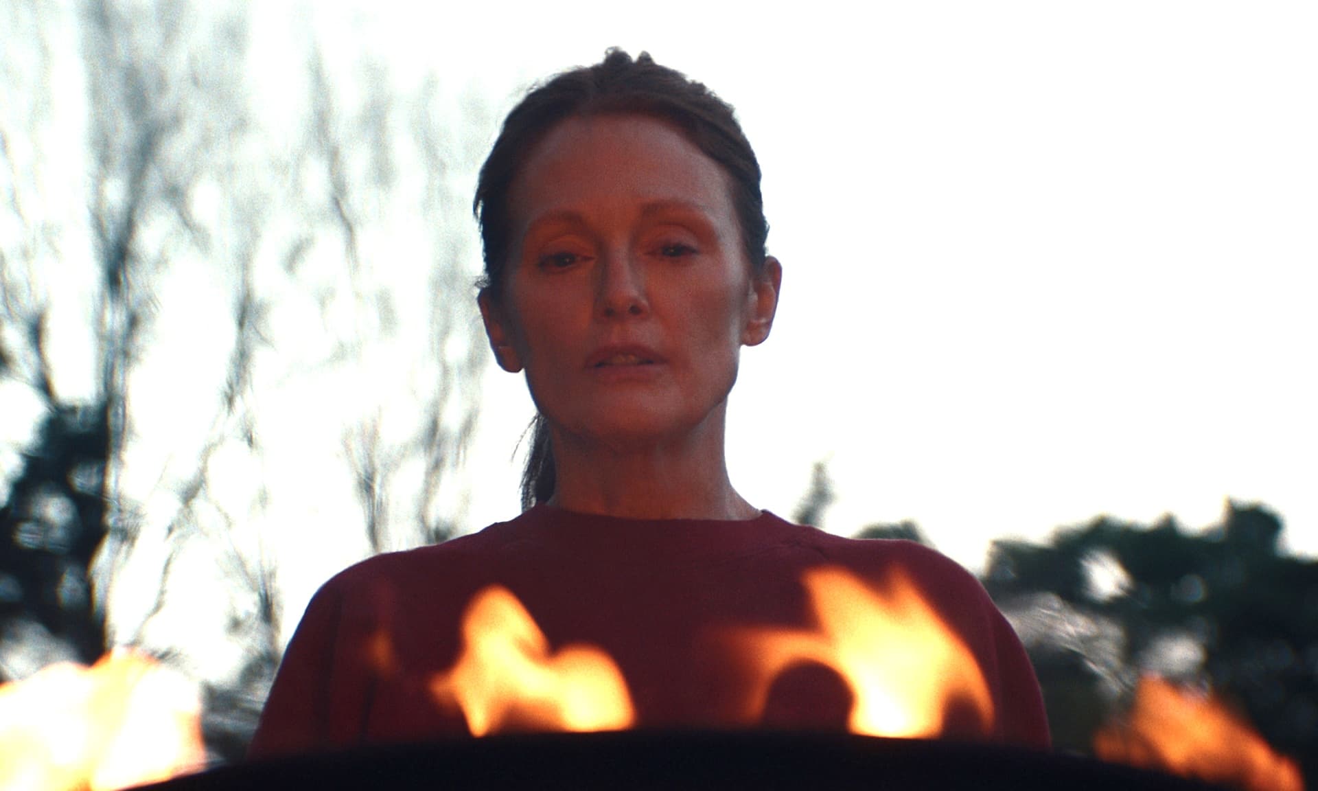 Julianne Moore in Echo Valley