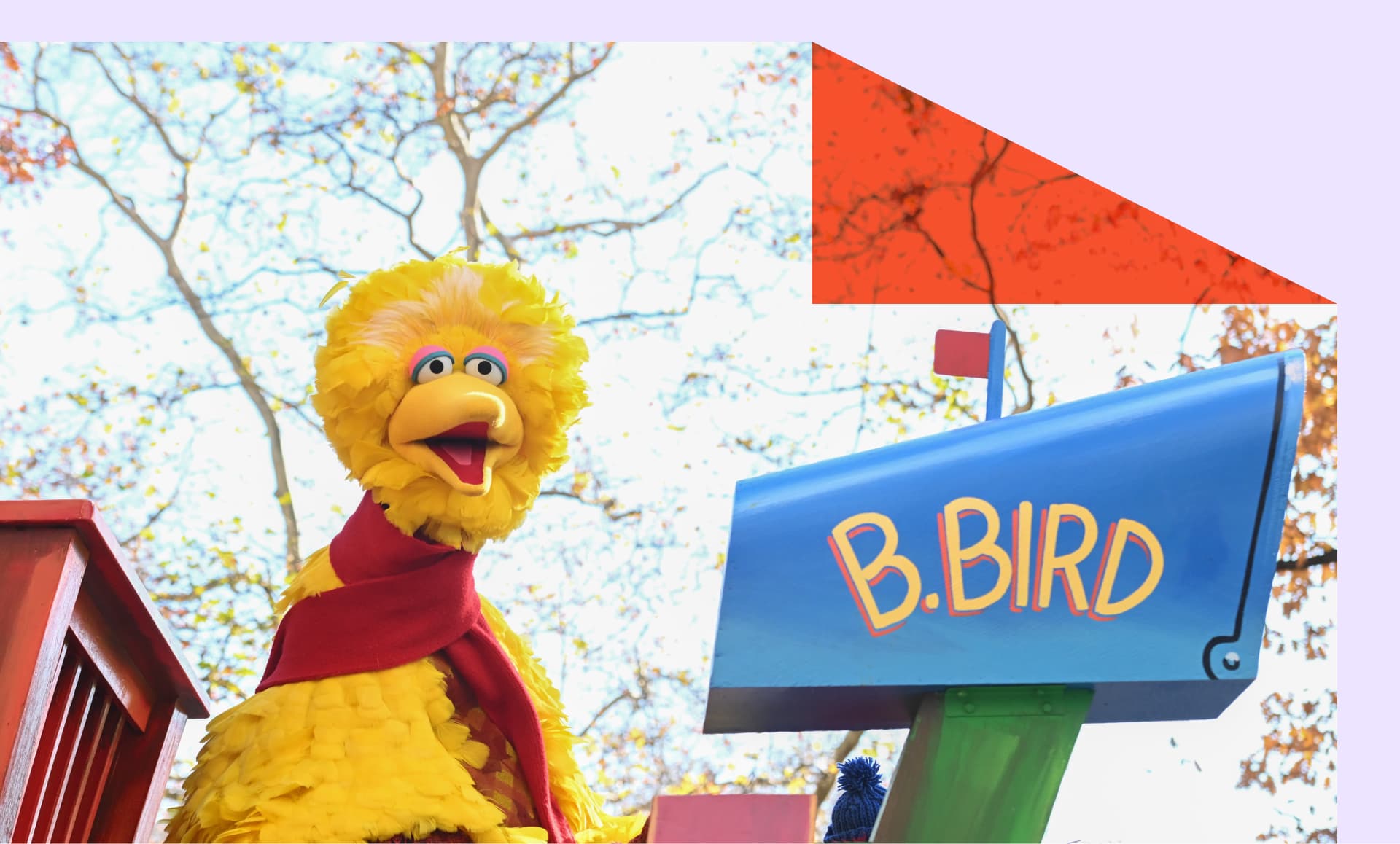Big Bird