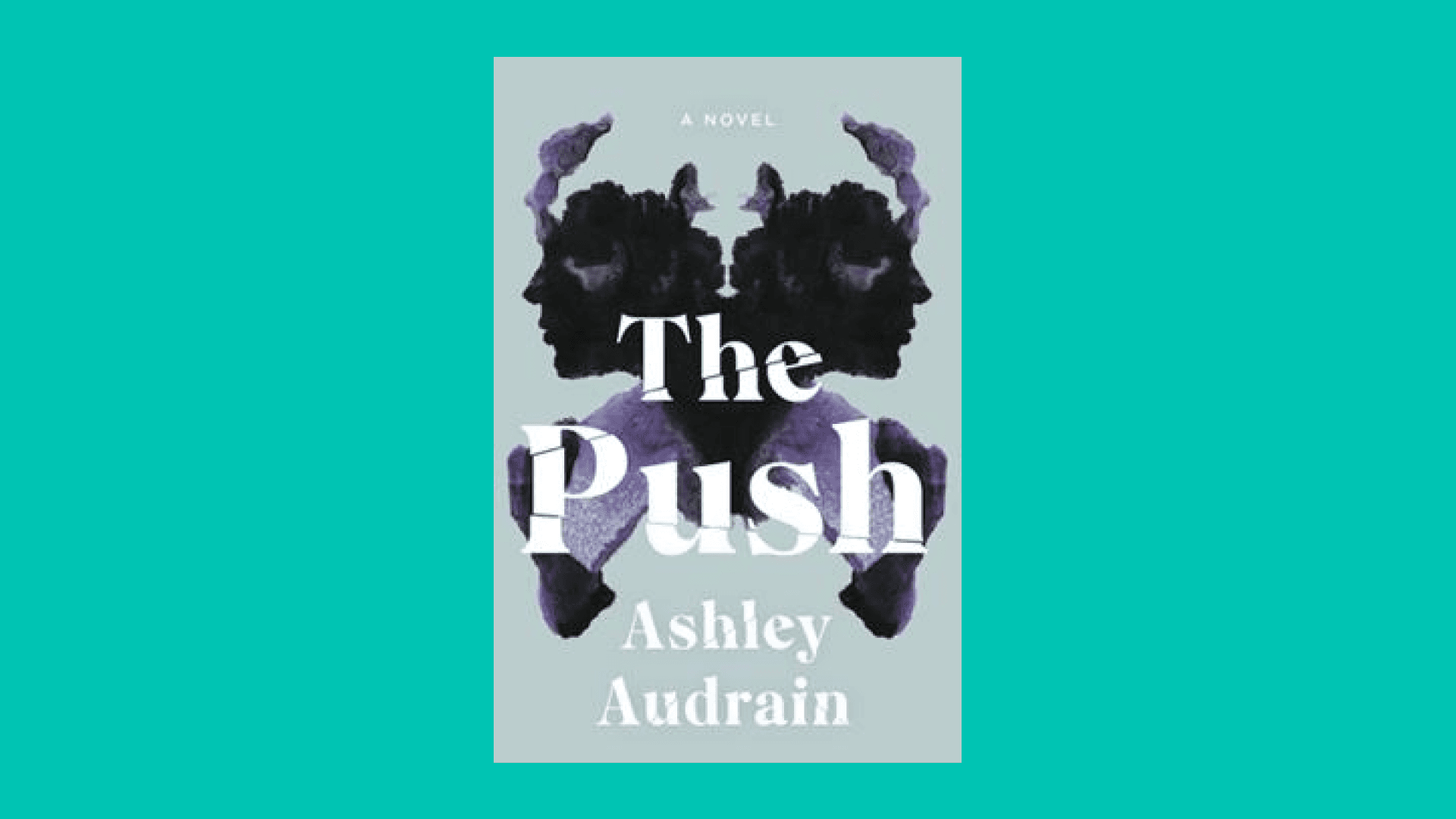 “The Push” by Ashley Audrain