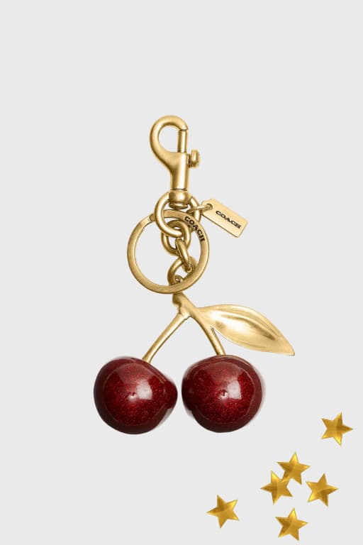 Coach charm