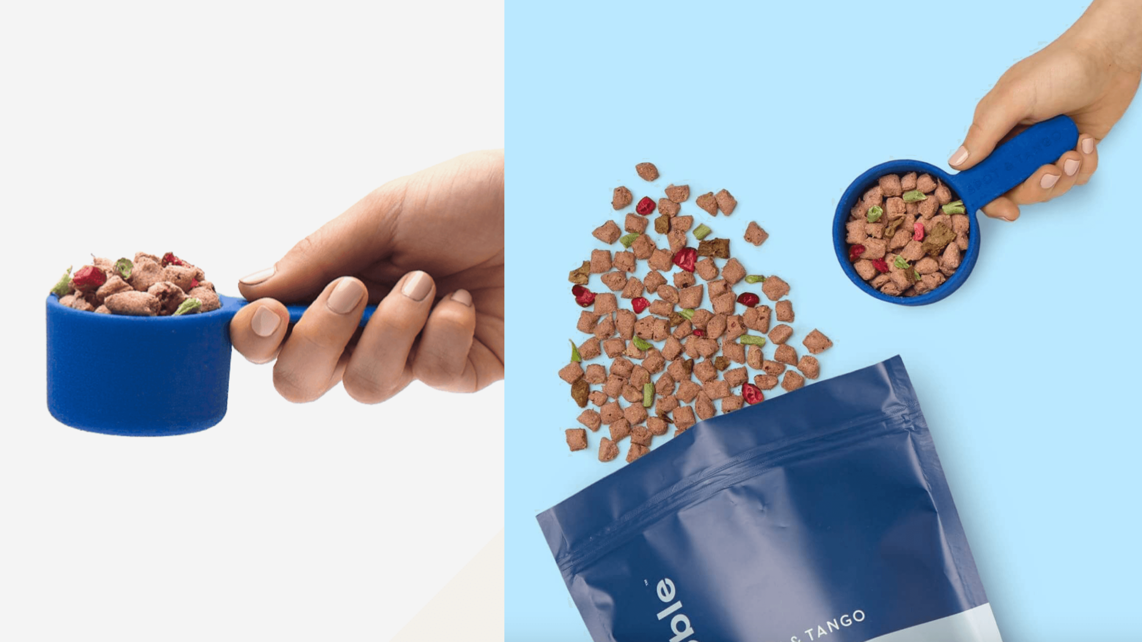 healthy and nutritious kibble food subscription for dogs