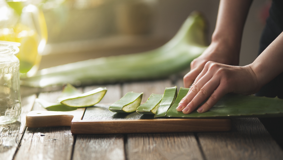 Featured image for How To Store Your Aloe Vera Gel so It Stays Usable Longer