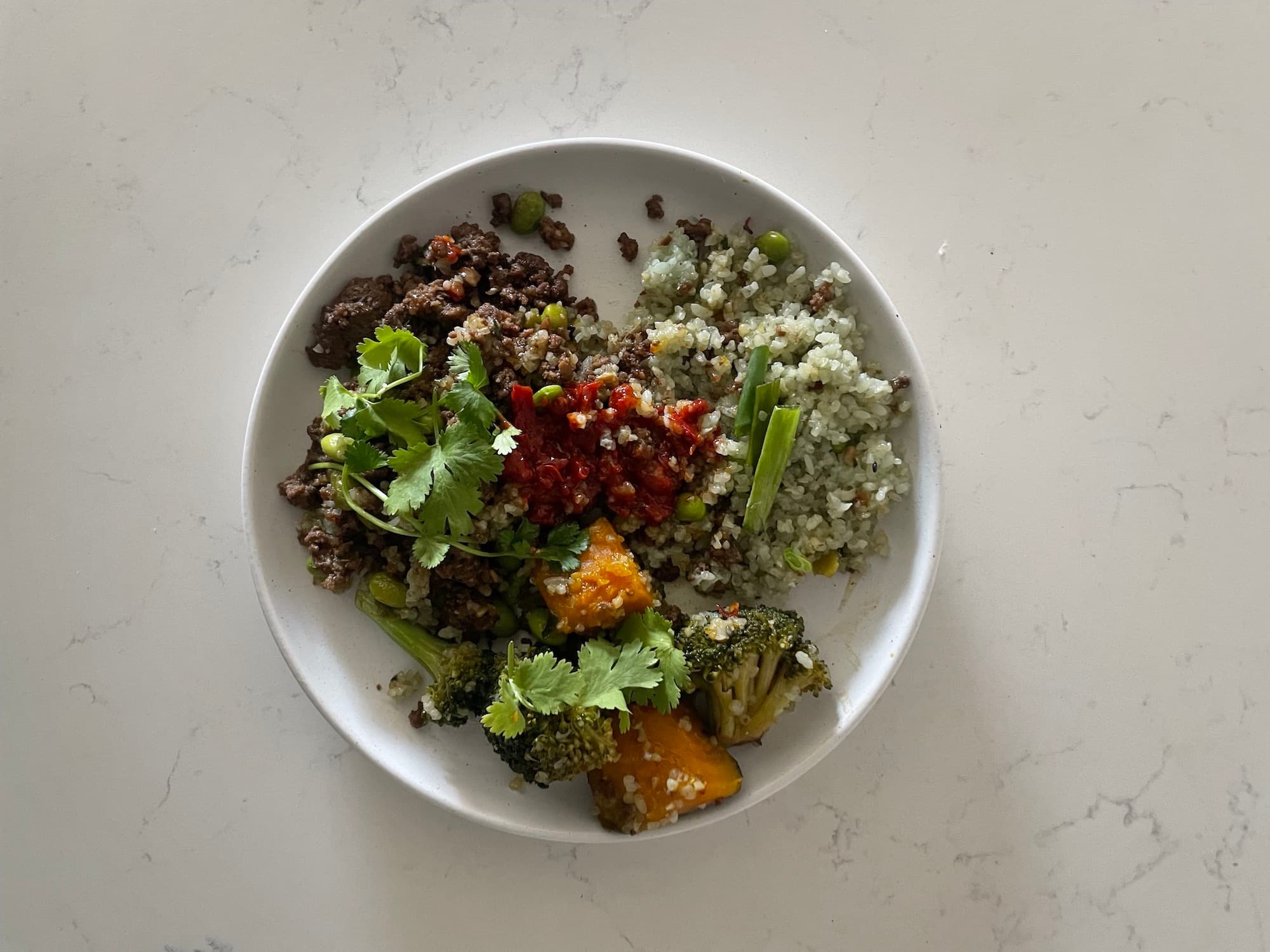 mongolian dynamite plate