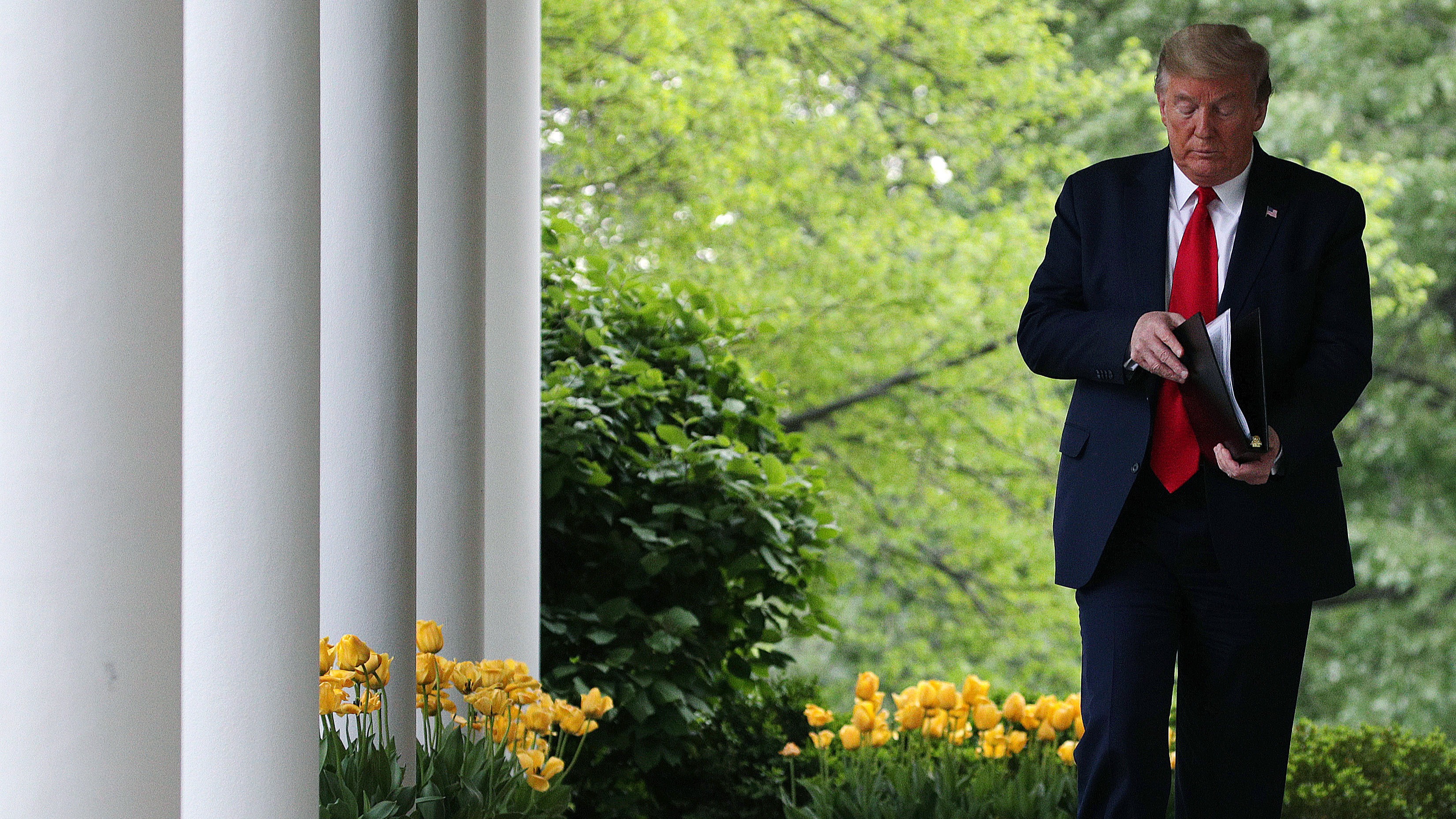 Trump reopening guidelines