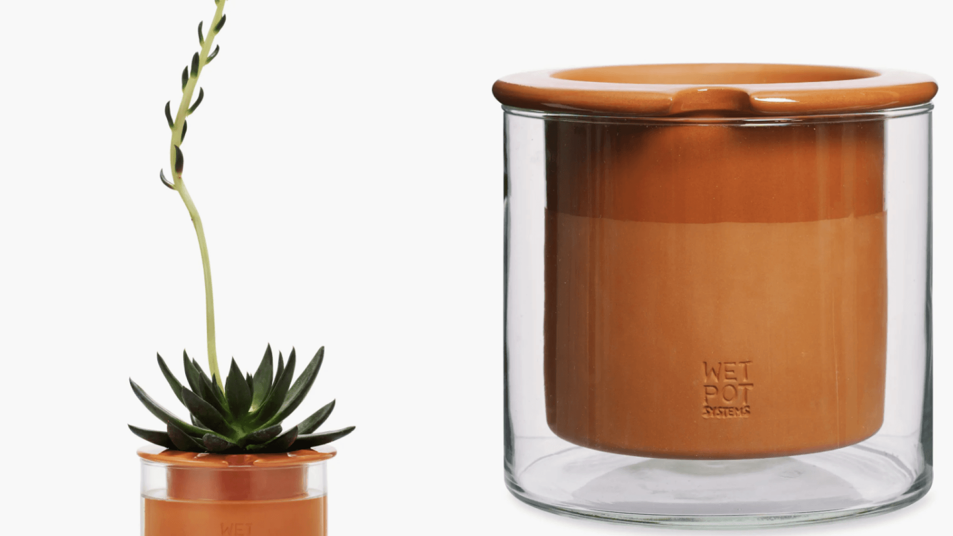 Watering pot